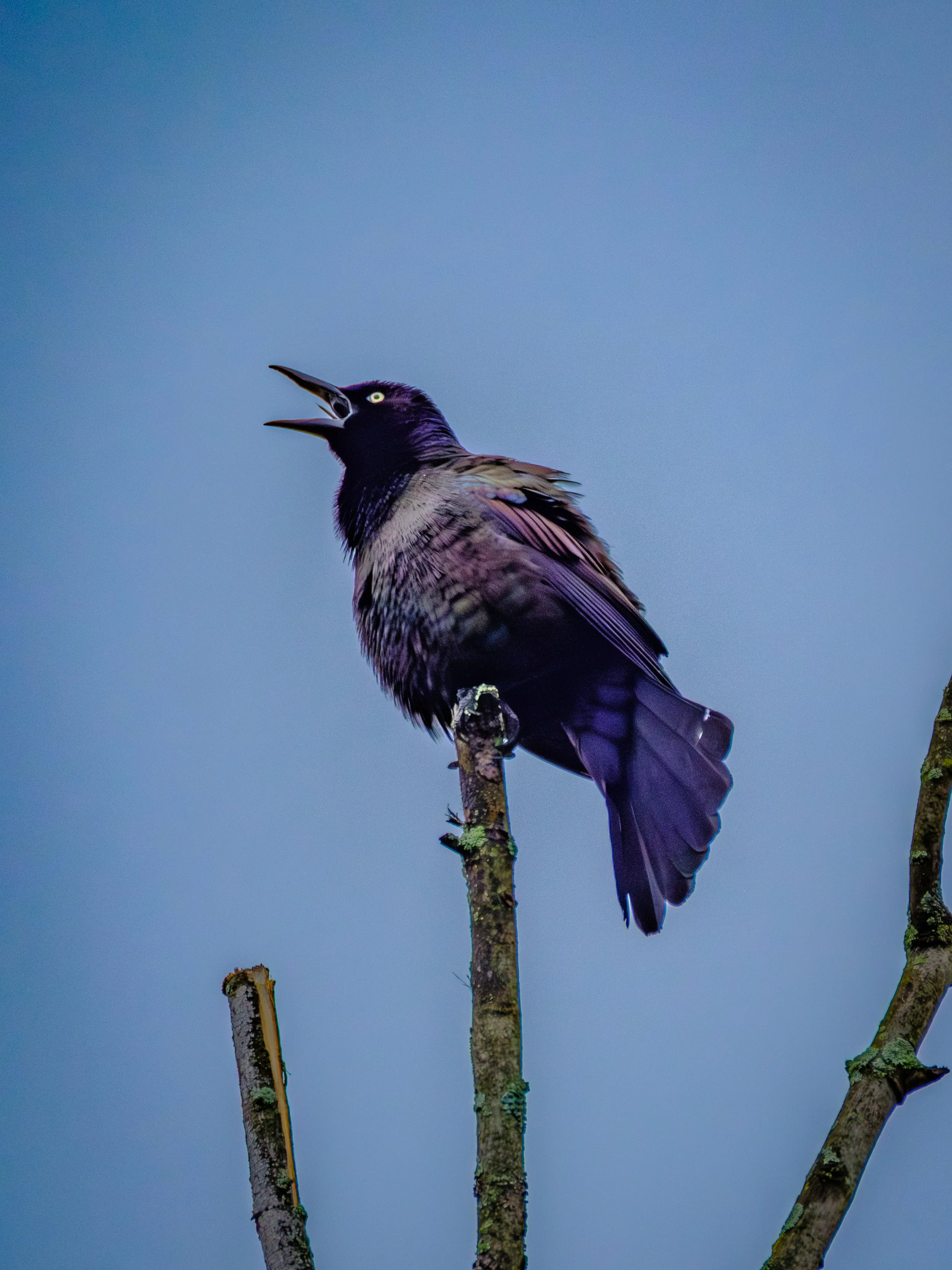 DSCF5405.jpg