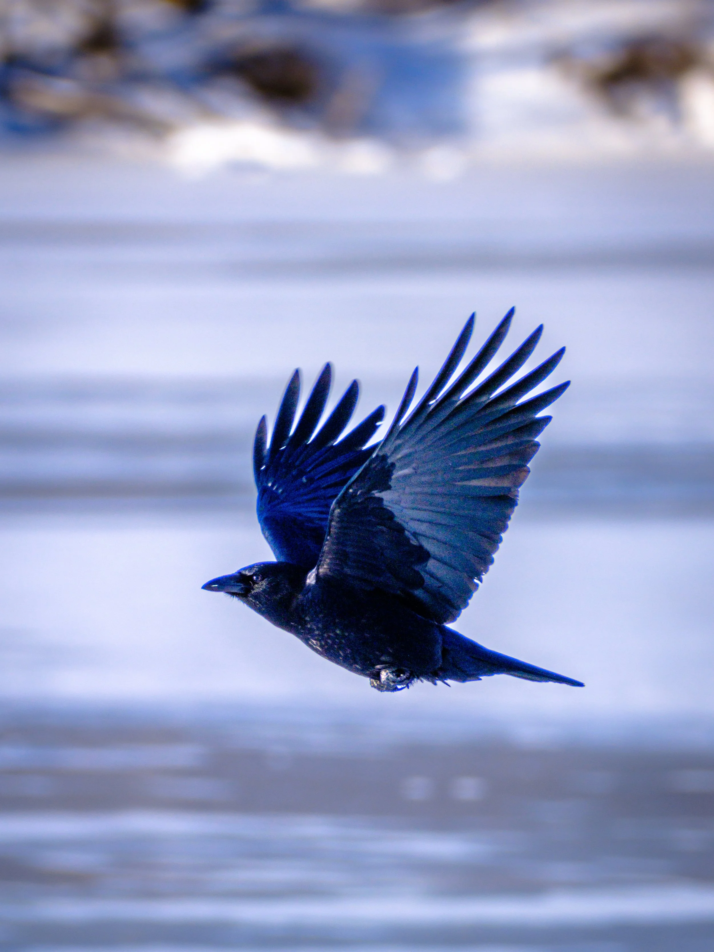 DSCF3816.jpg
