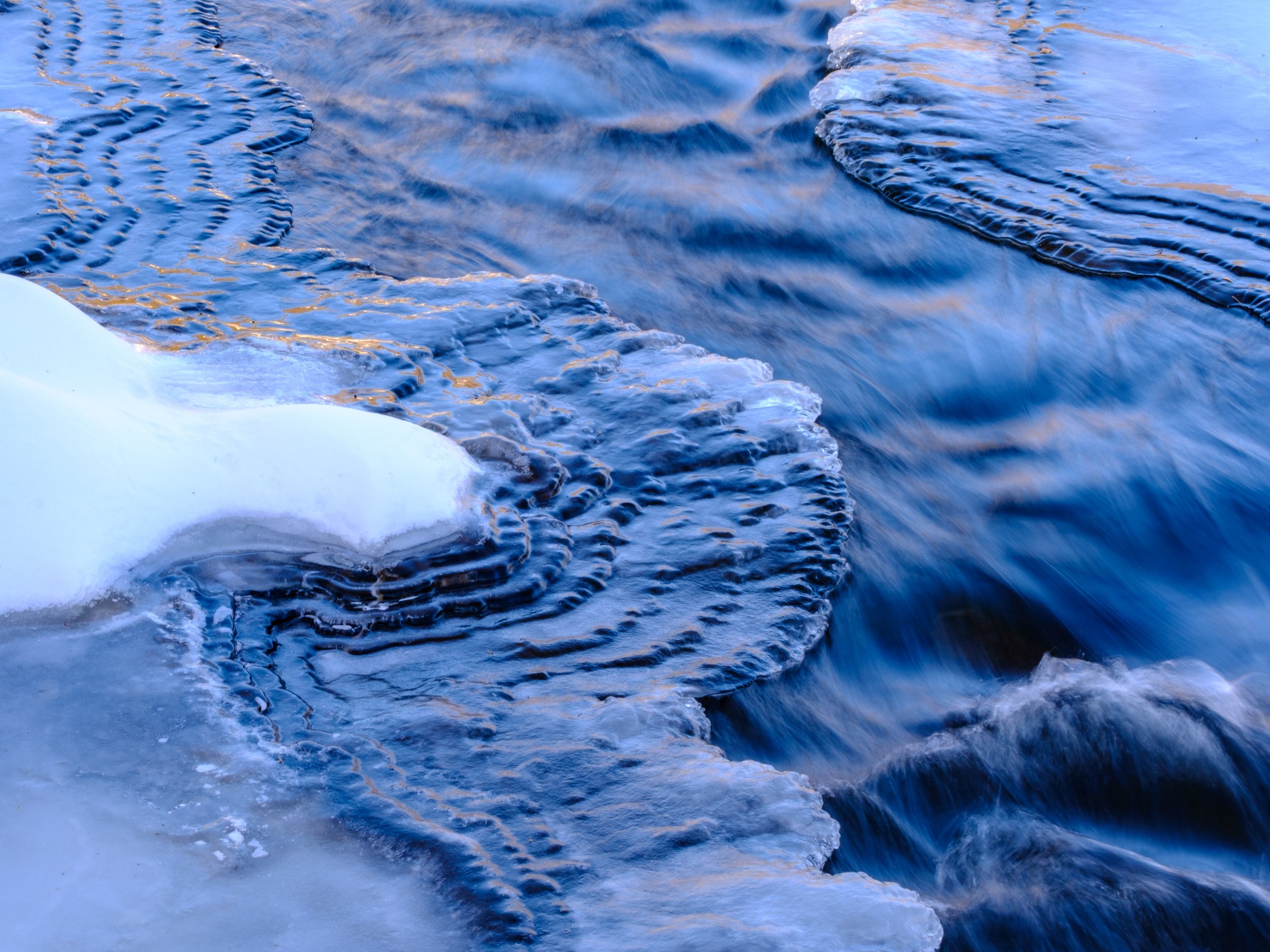 DSCF3848.jpg