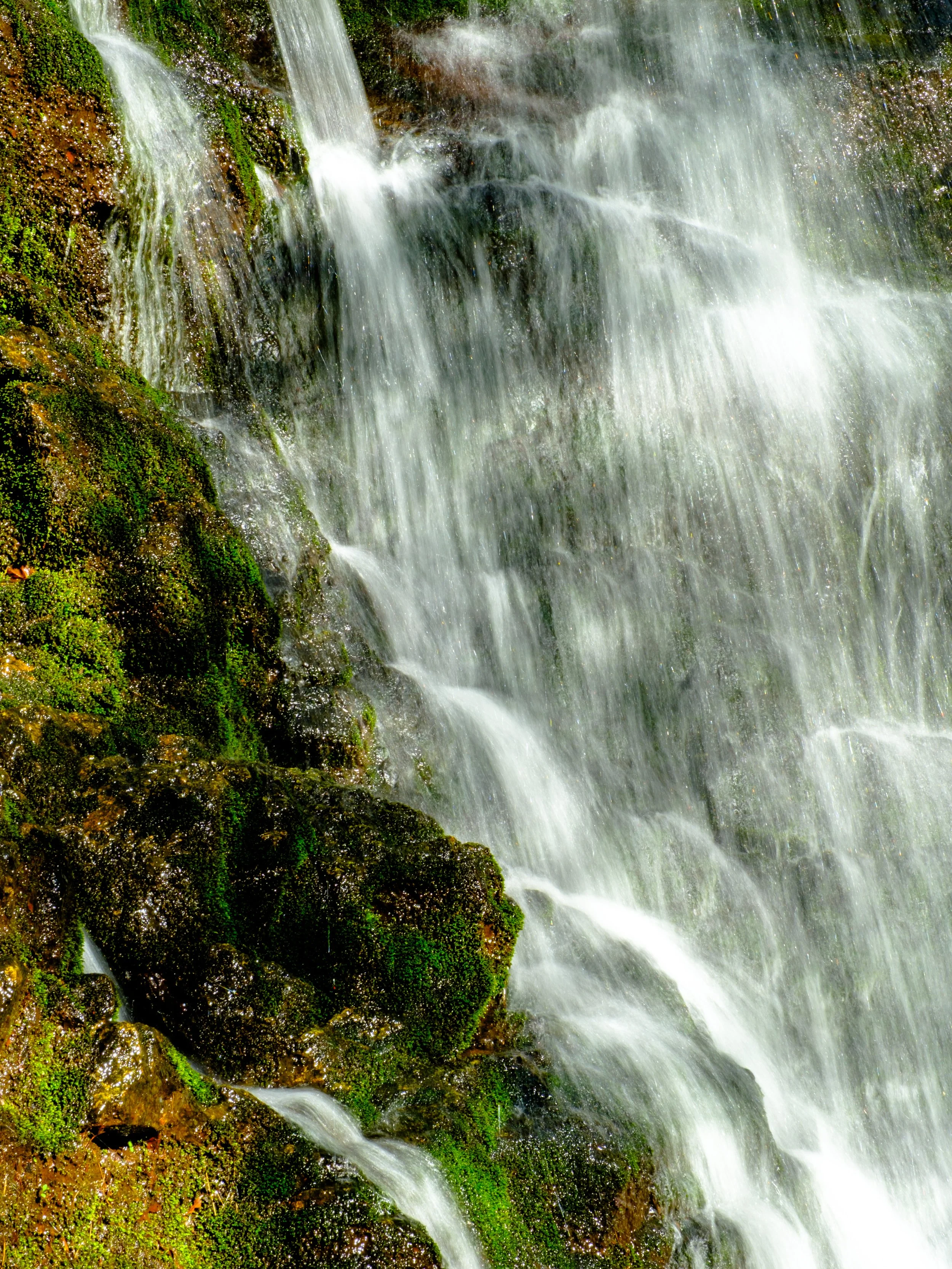 DSCF5252-2.jpg
