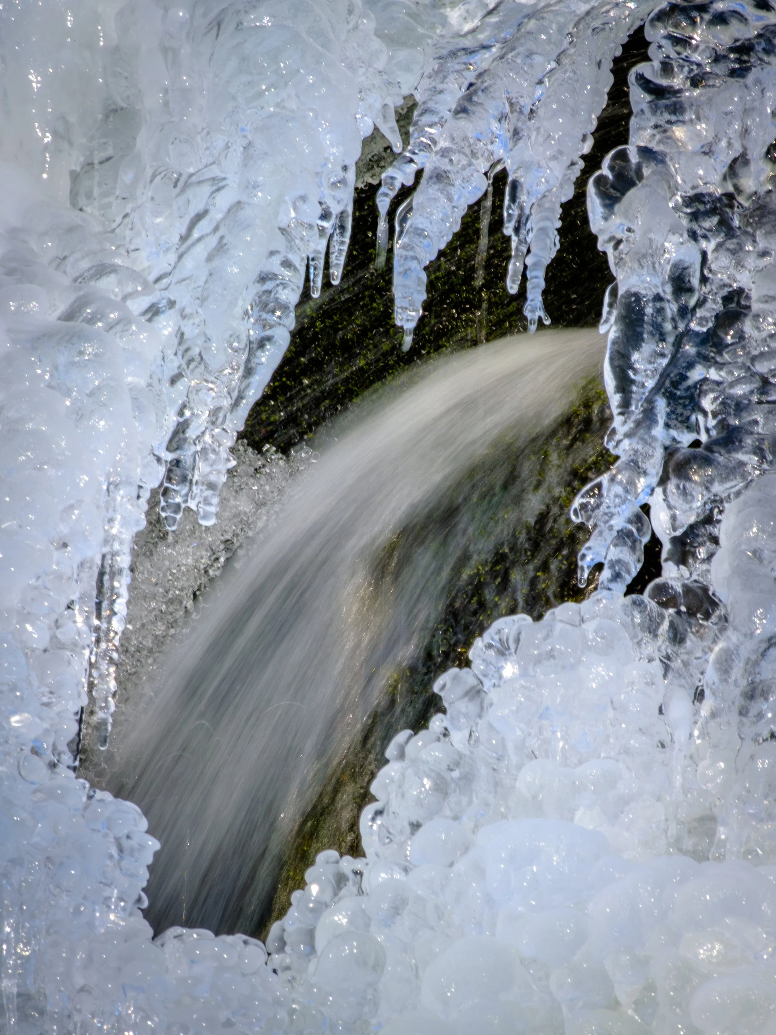 DSCF3333.jpg
