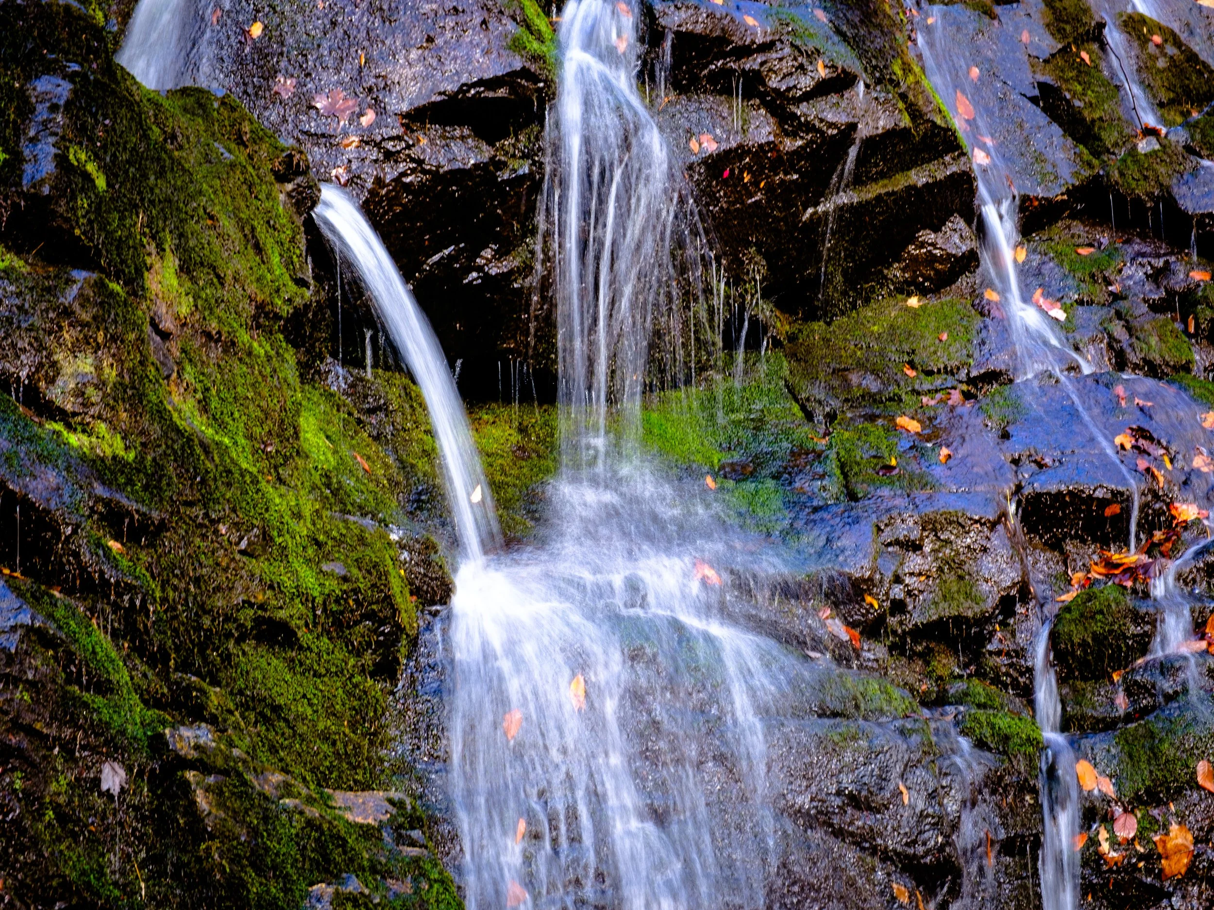 DSCF0159-2.jpg
