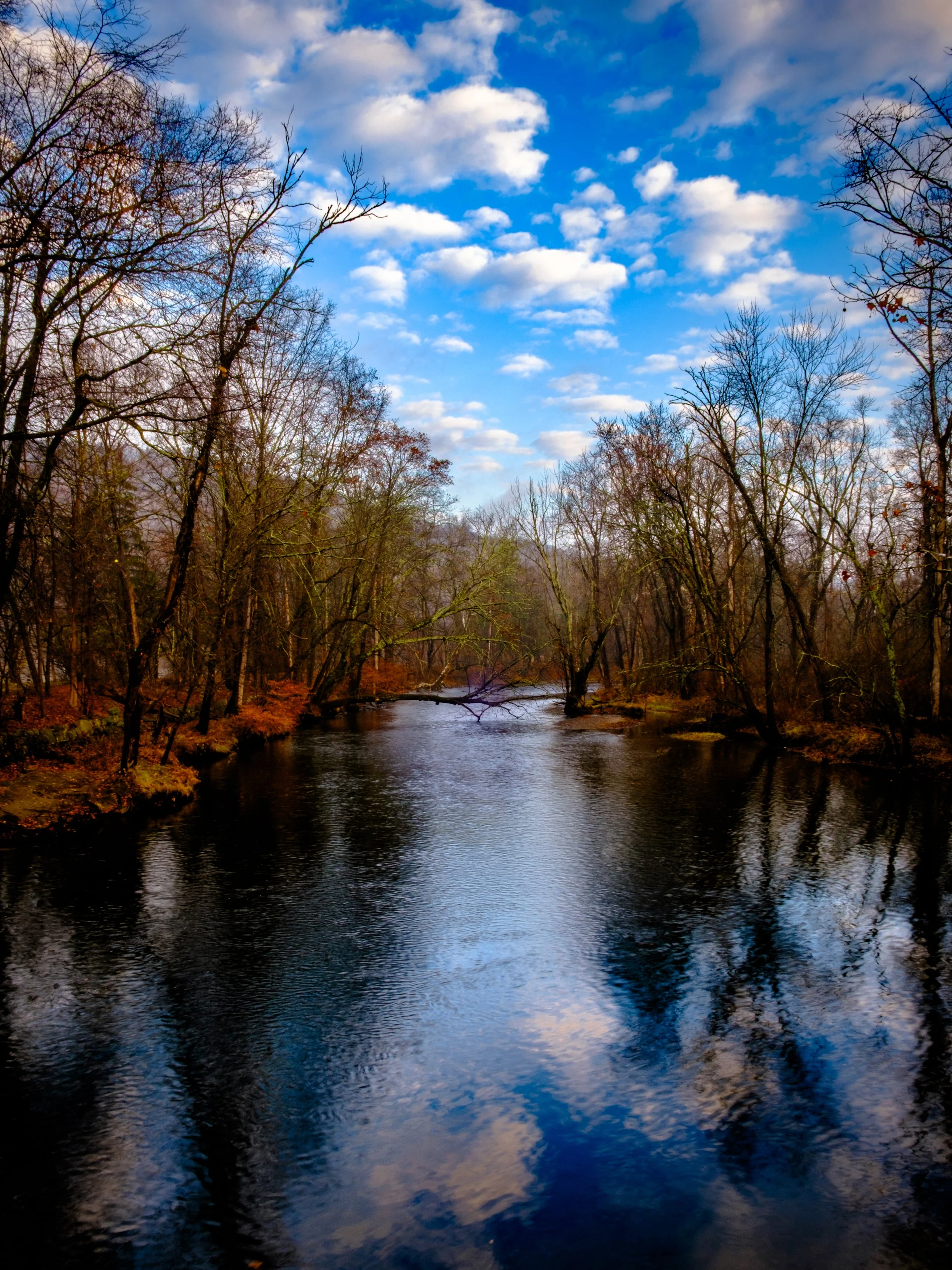 DSCF2538.jpg