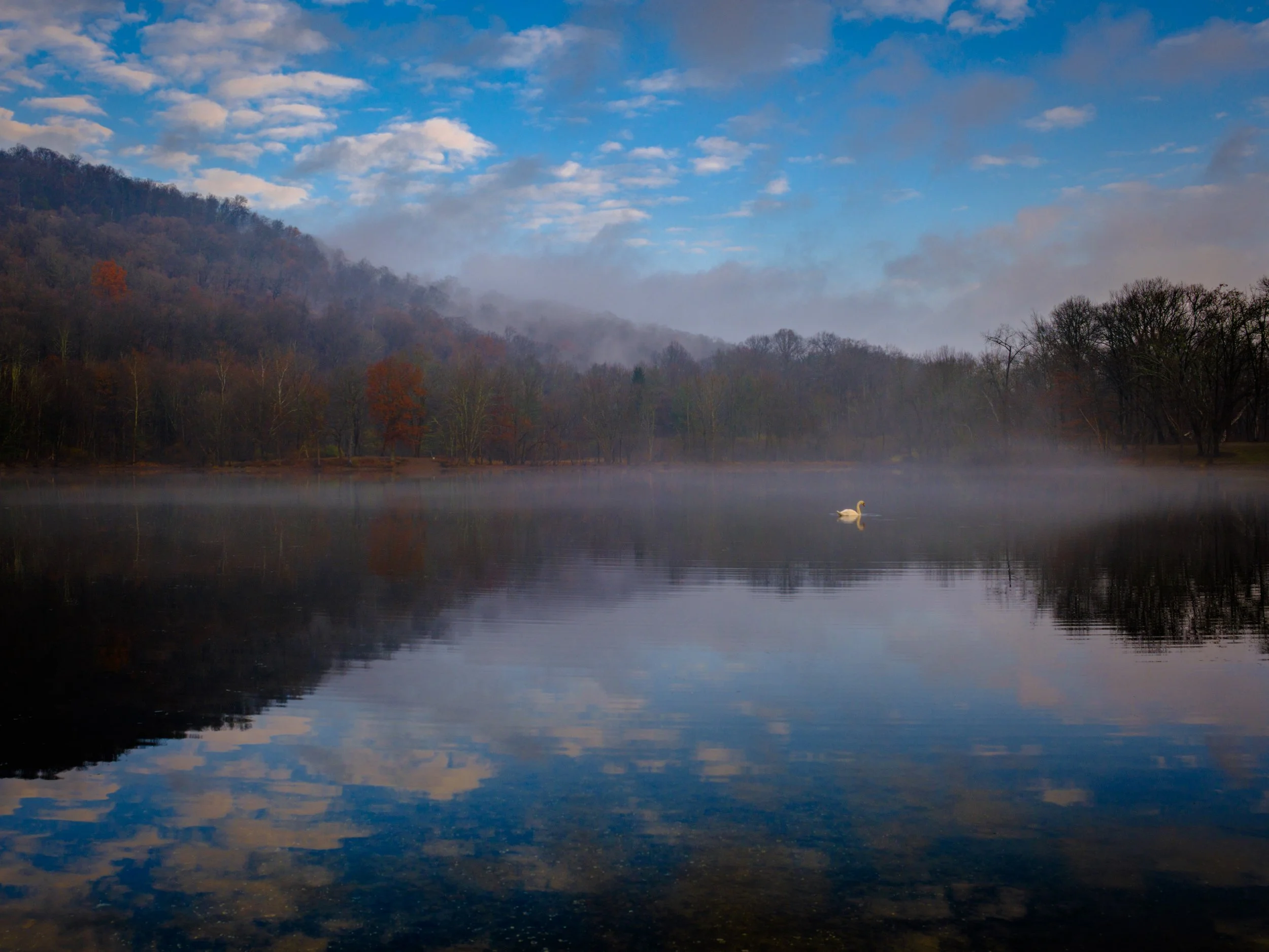 DSCF2560-2.jpg