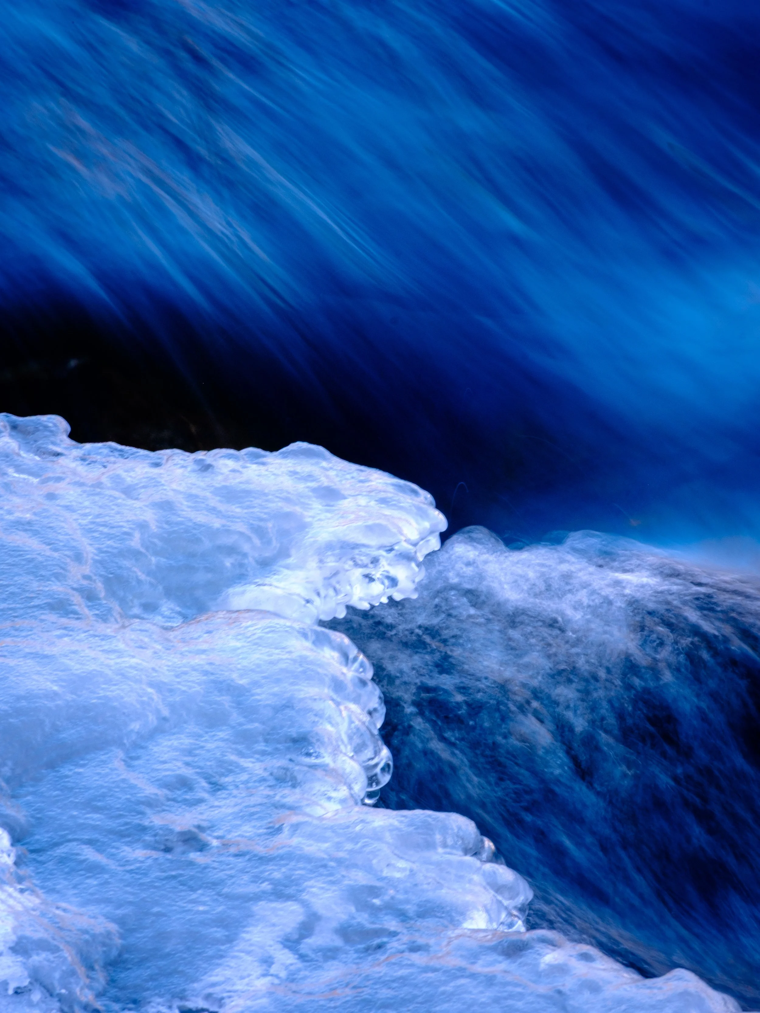 DSCF5285.jpg