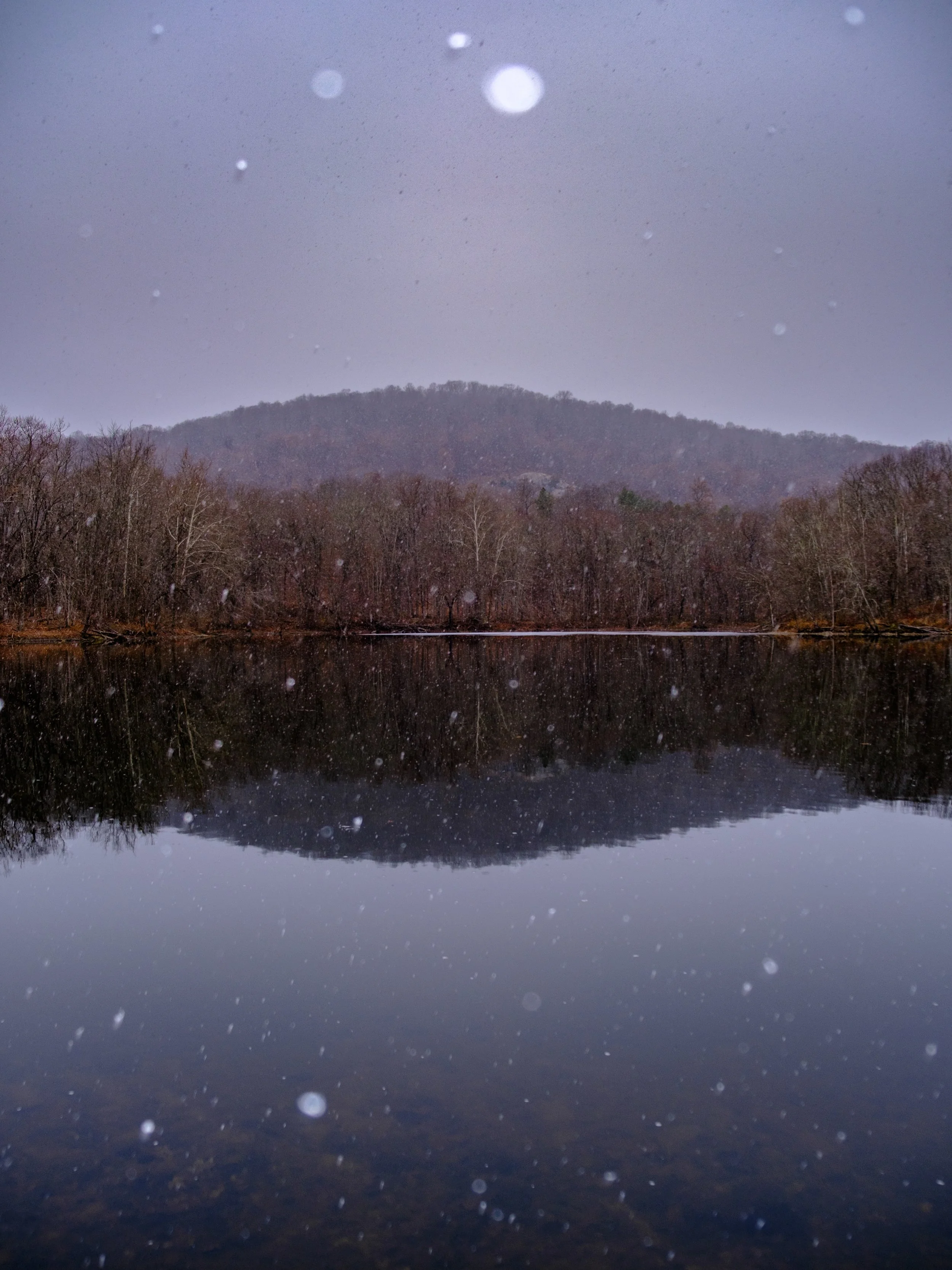 DSCF2705.jpg