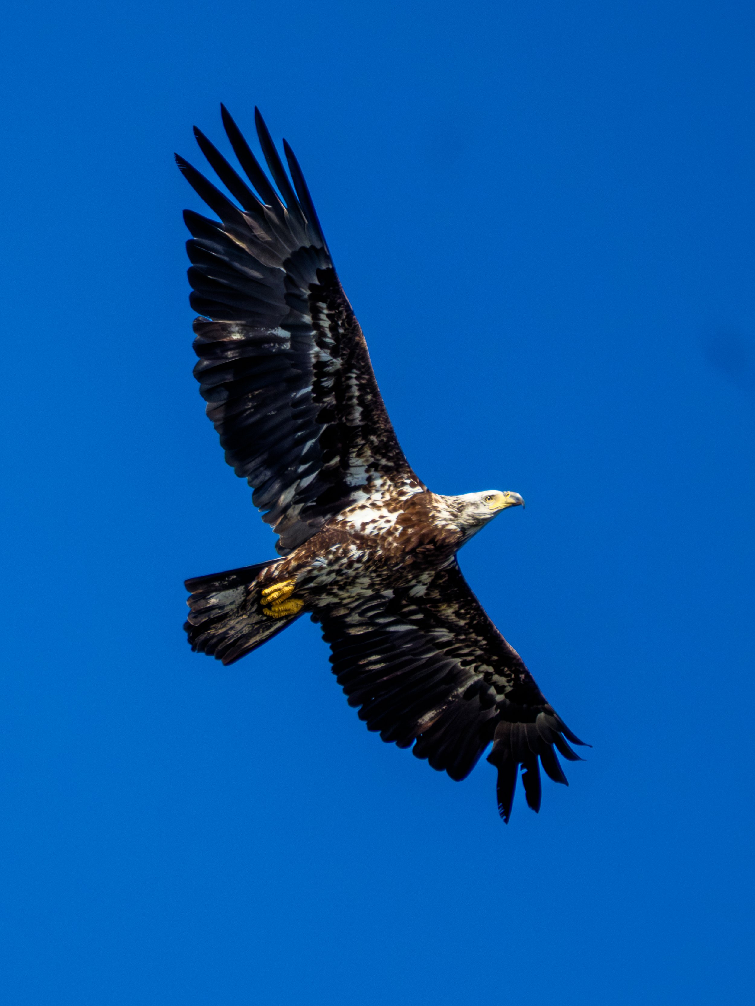 DSCF4896.jpg