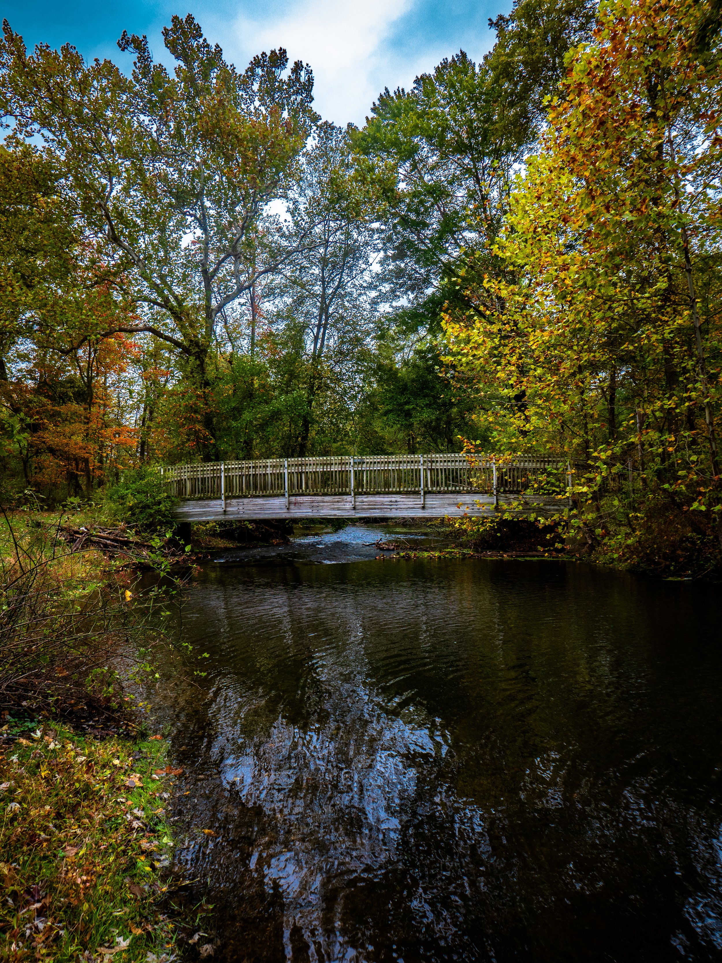 L1001679-2.jpg