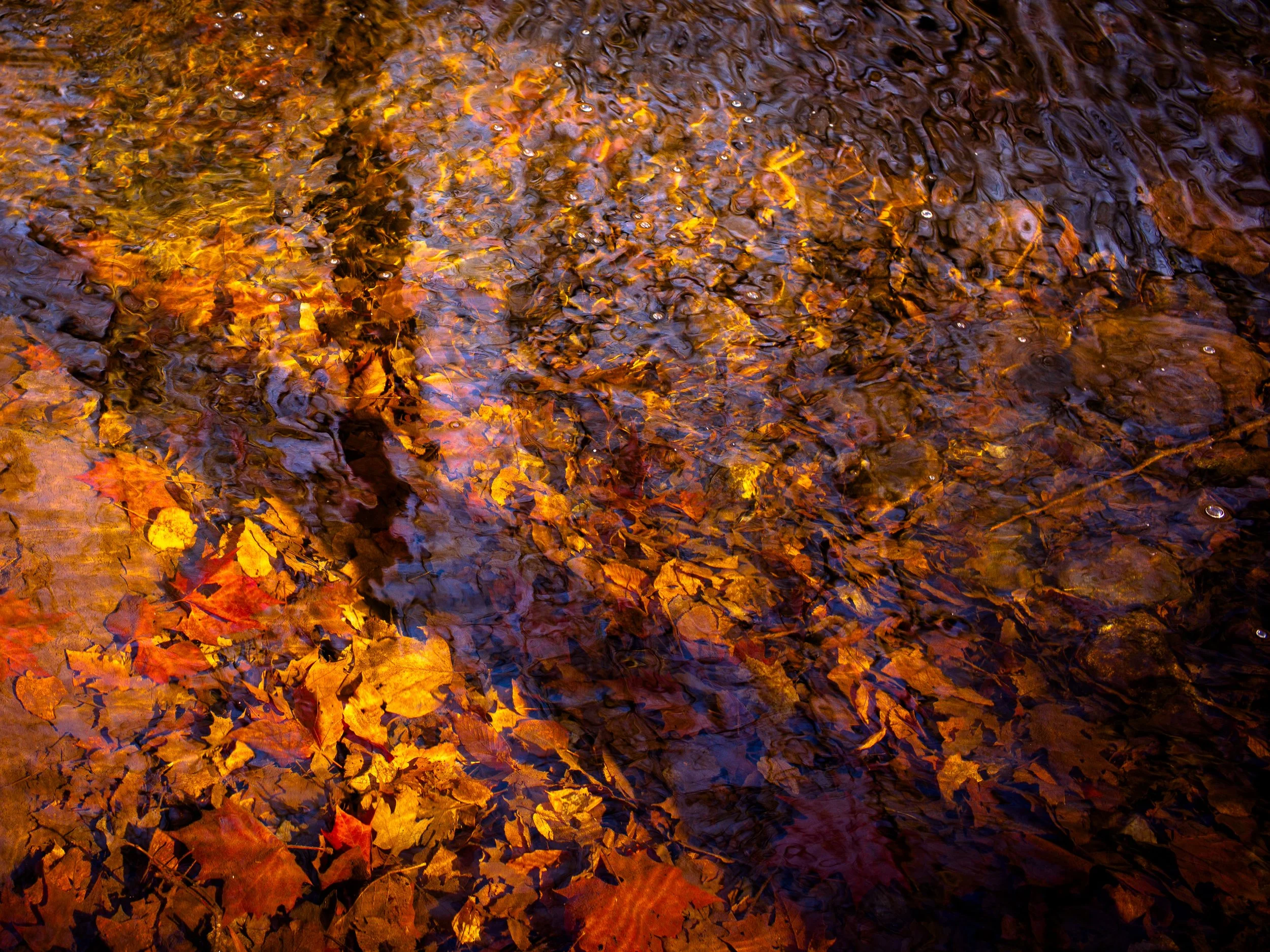 L1001534.jpg
