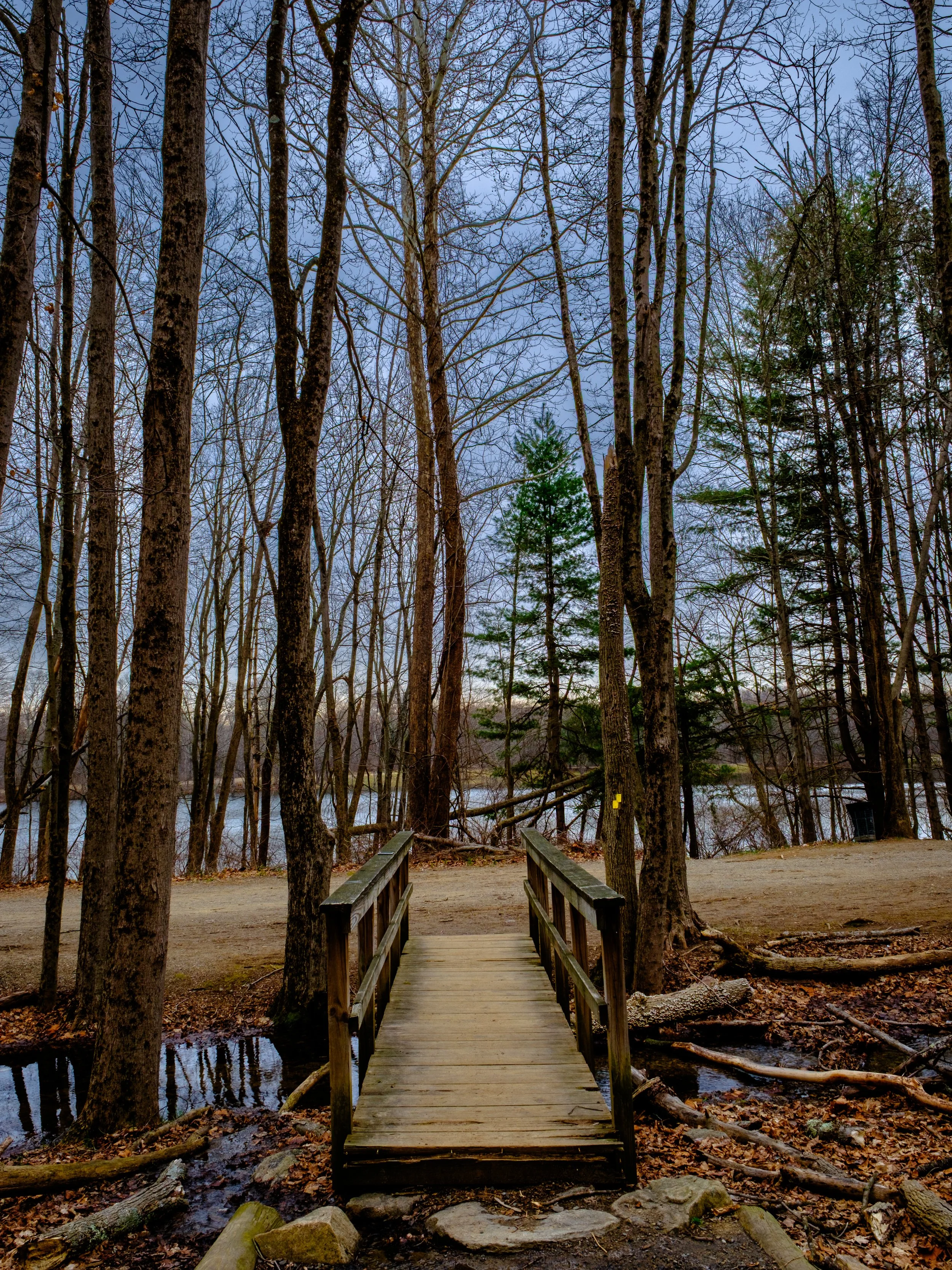 DSCF1368-2.jpg