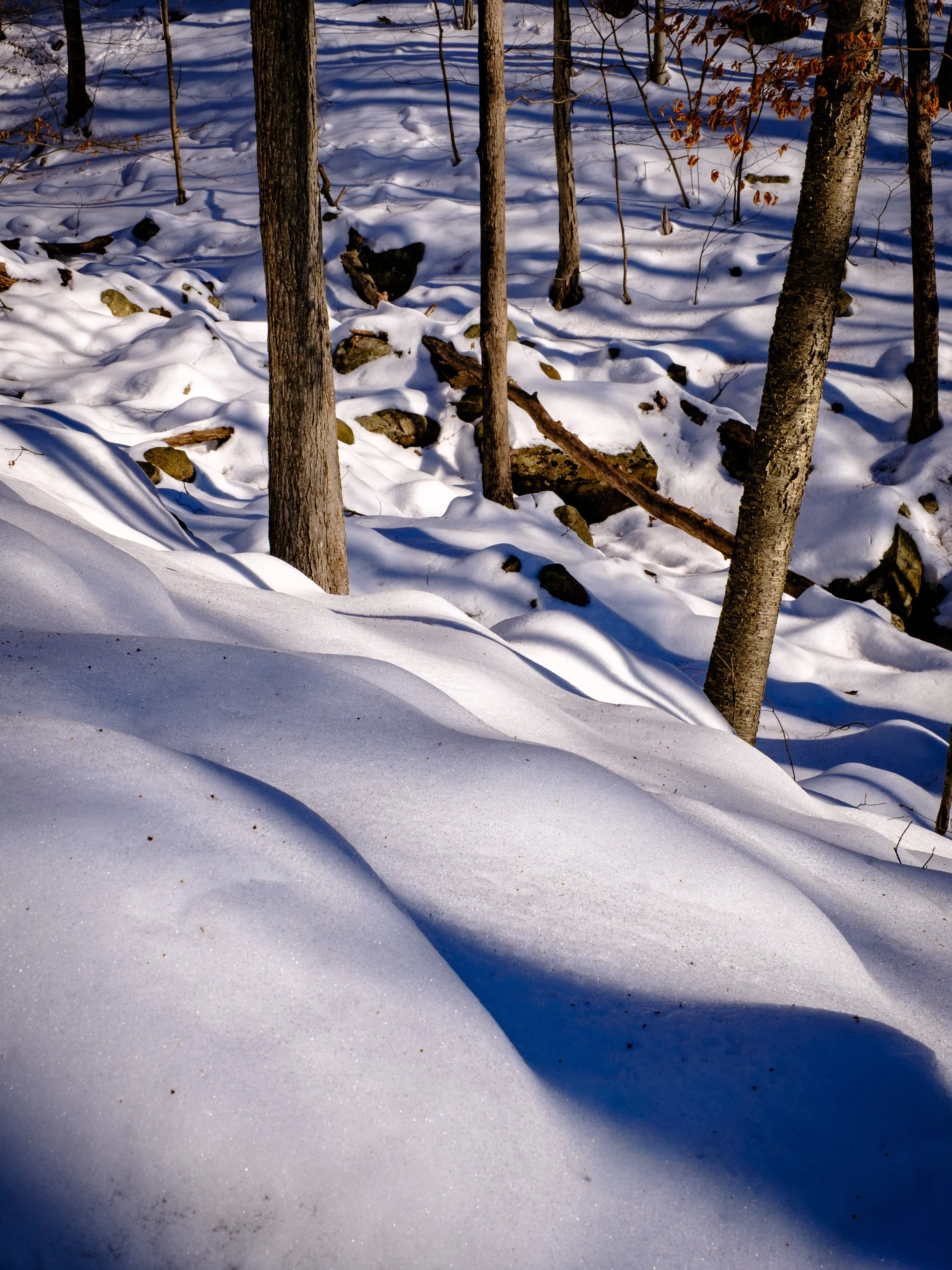 DSCF5624.jpg