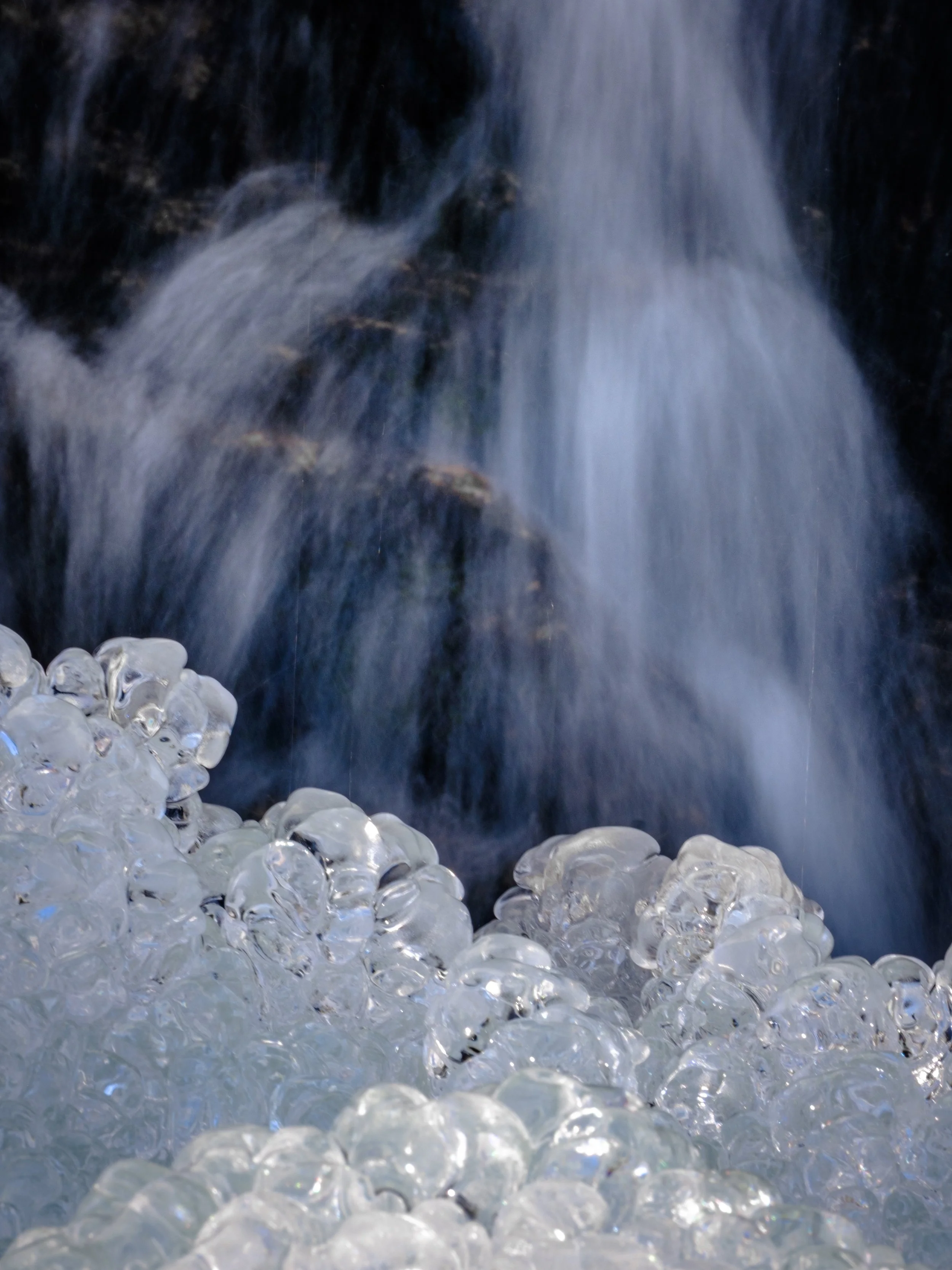 DSCF5538.jpg