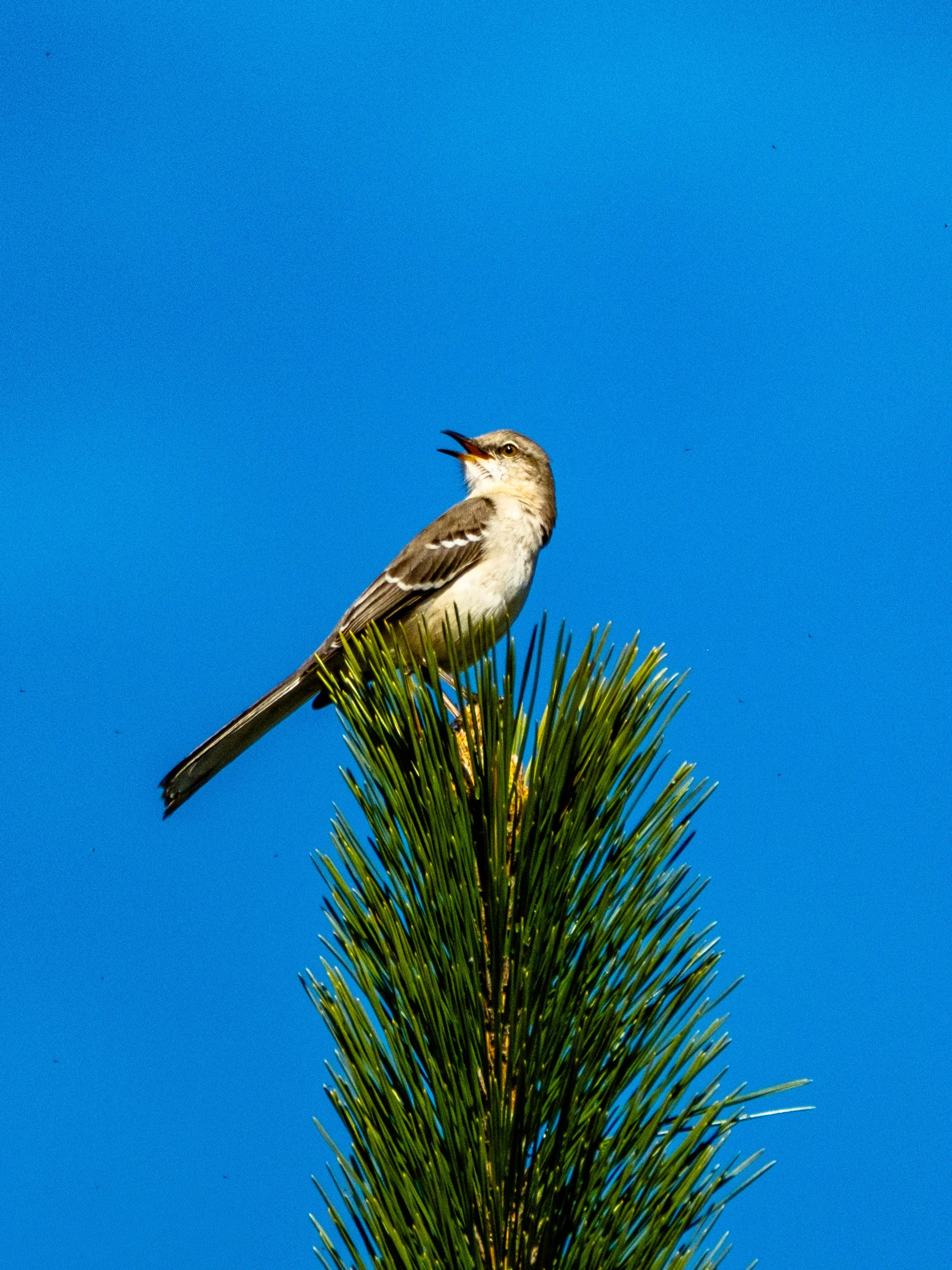 DSCF3822.jpg