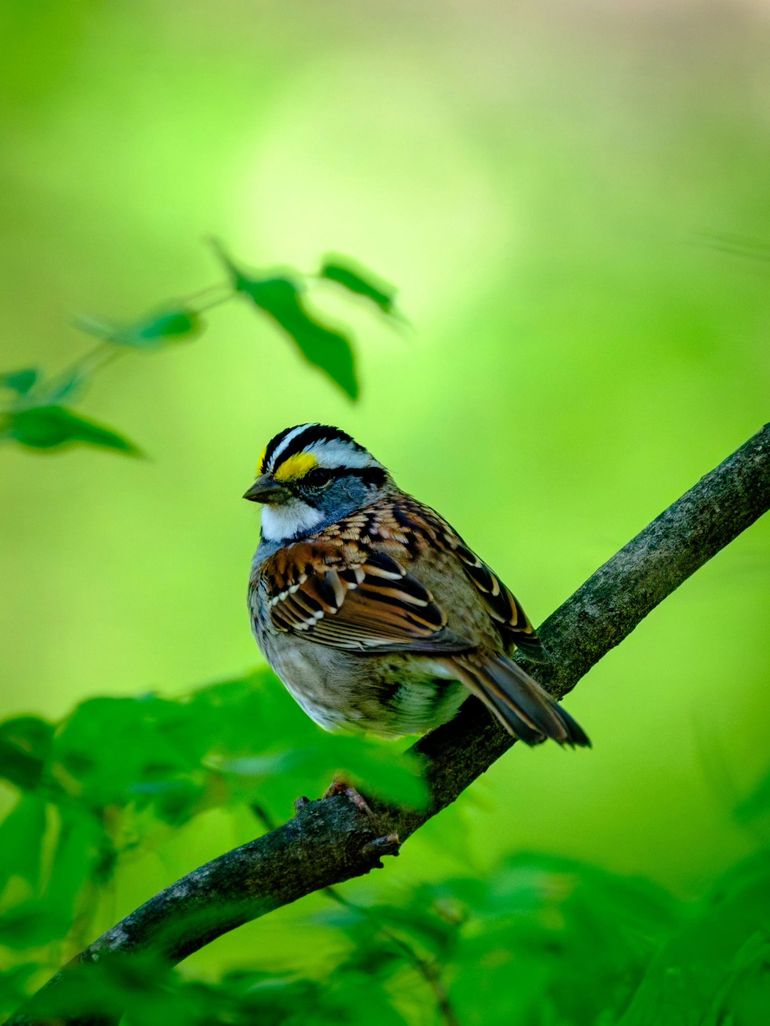 DSCF5563.jpg