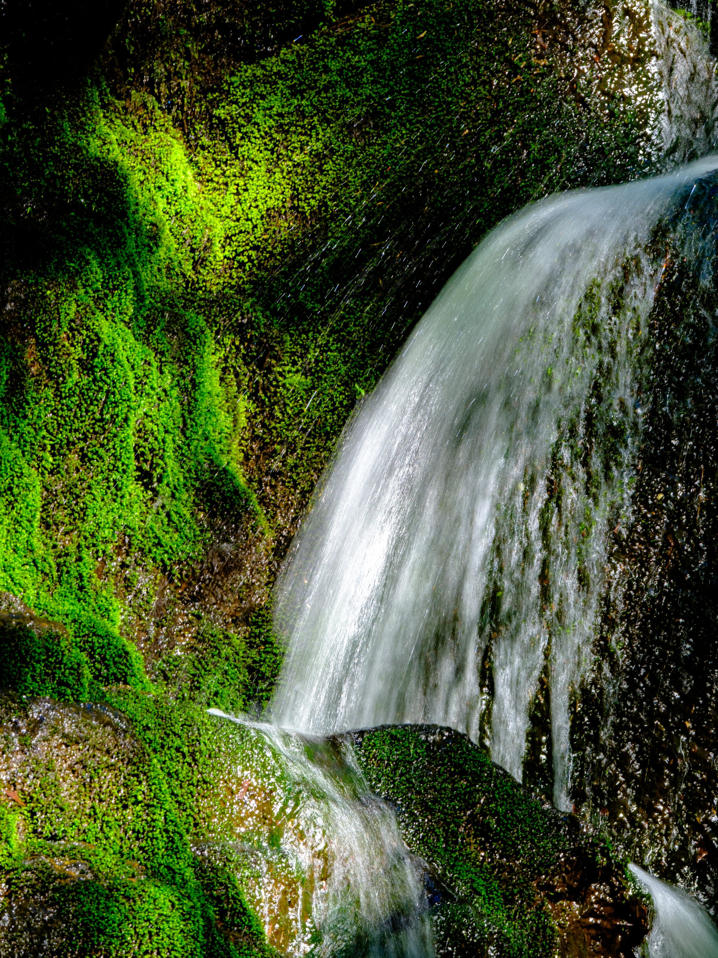 DSCF5597-2.jpg