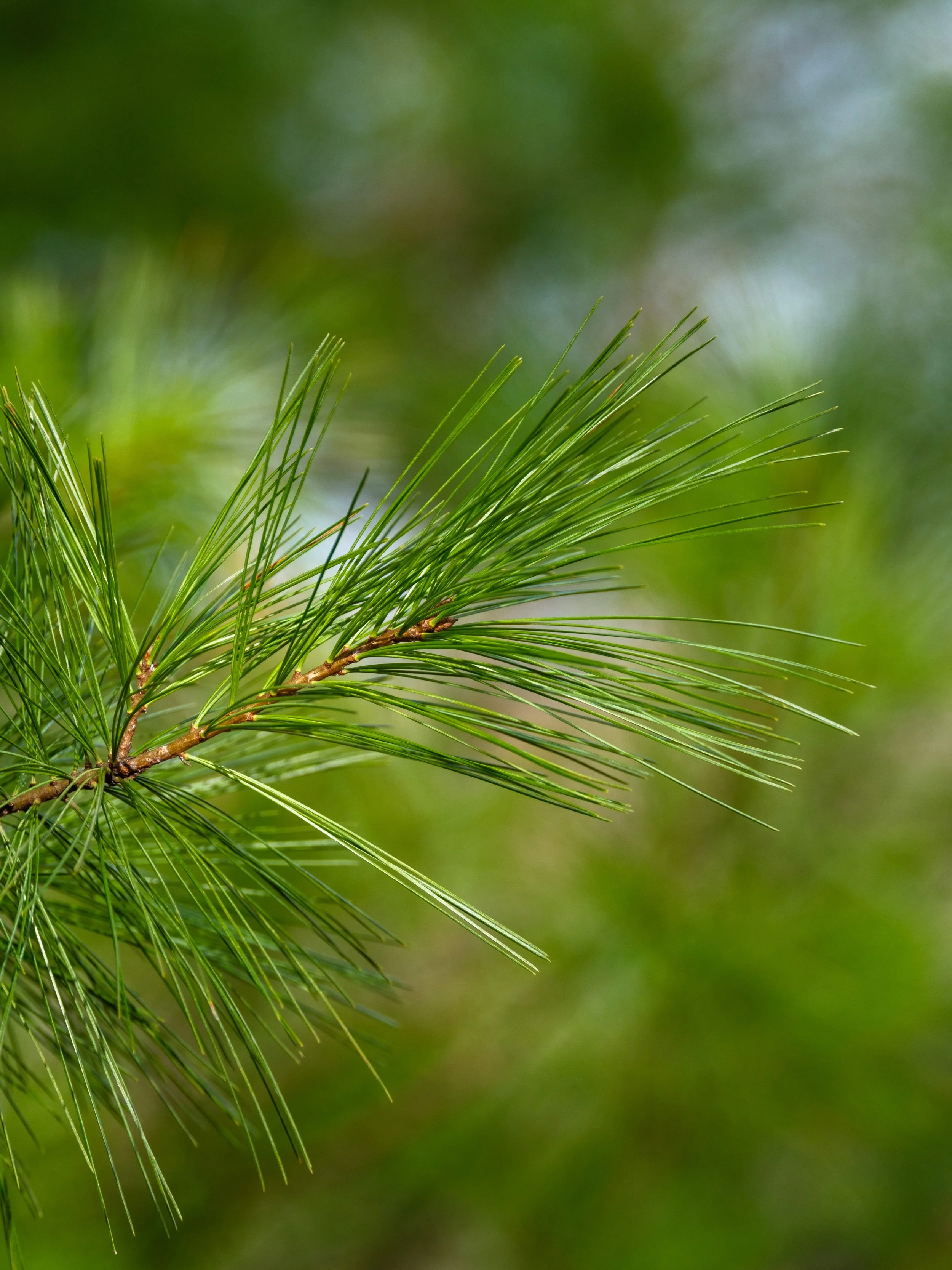 DSCF2322-2.jpg