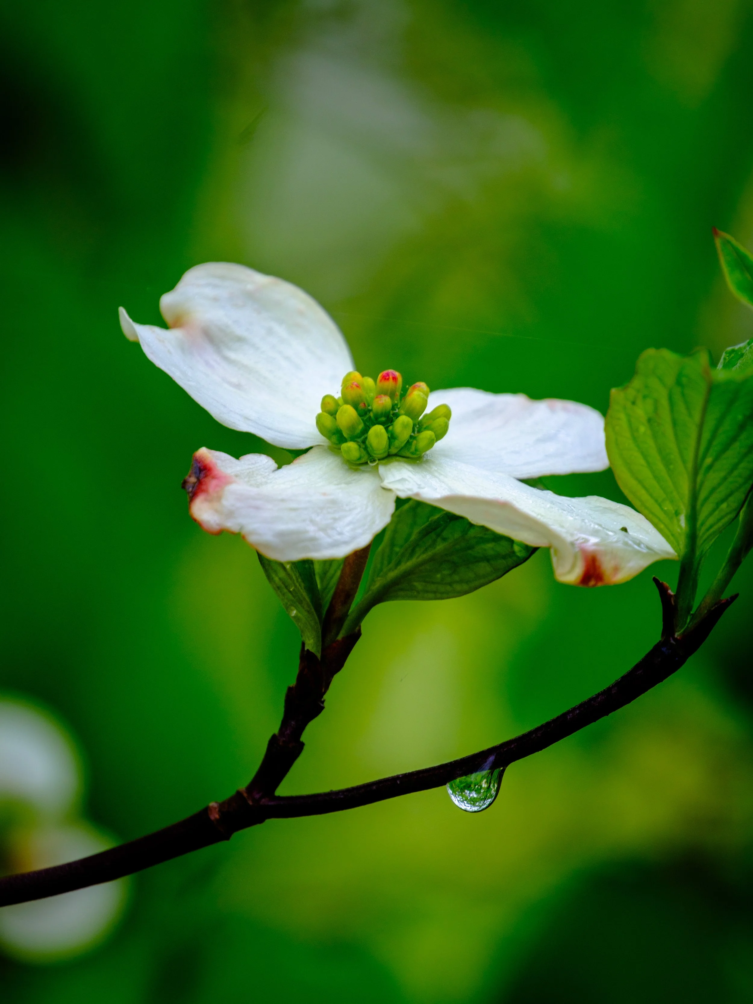 DSCF5367-2.jpg