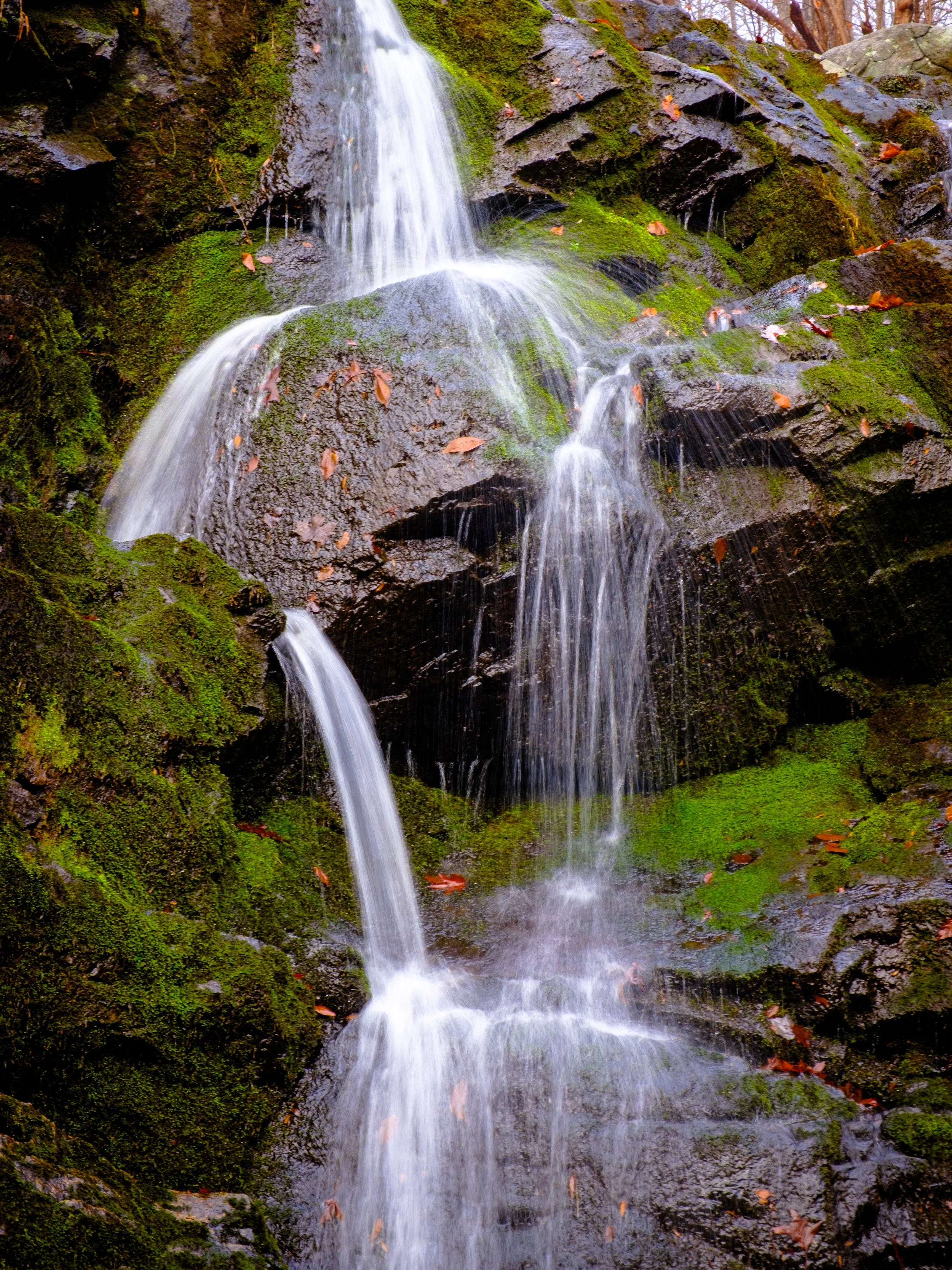 DSCF2590.jpg
