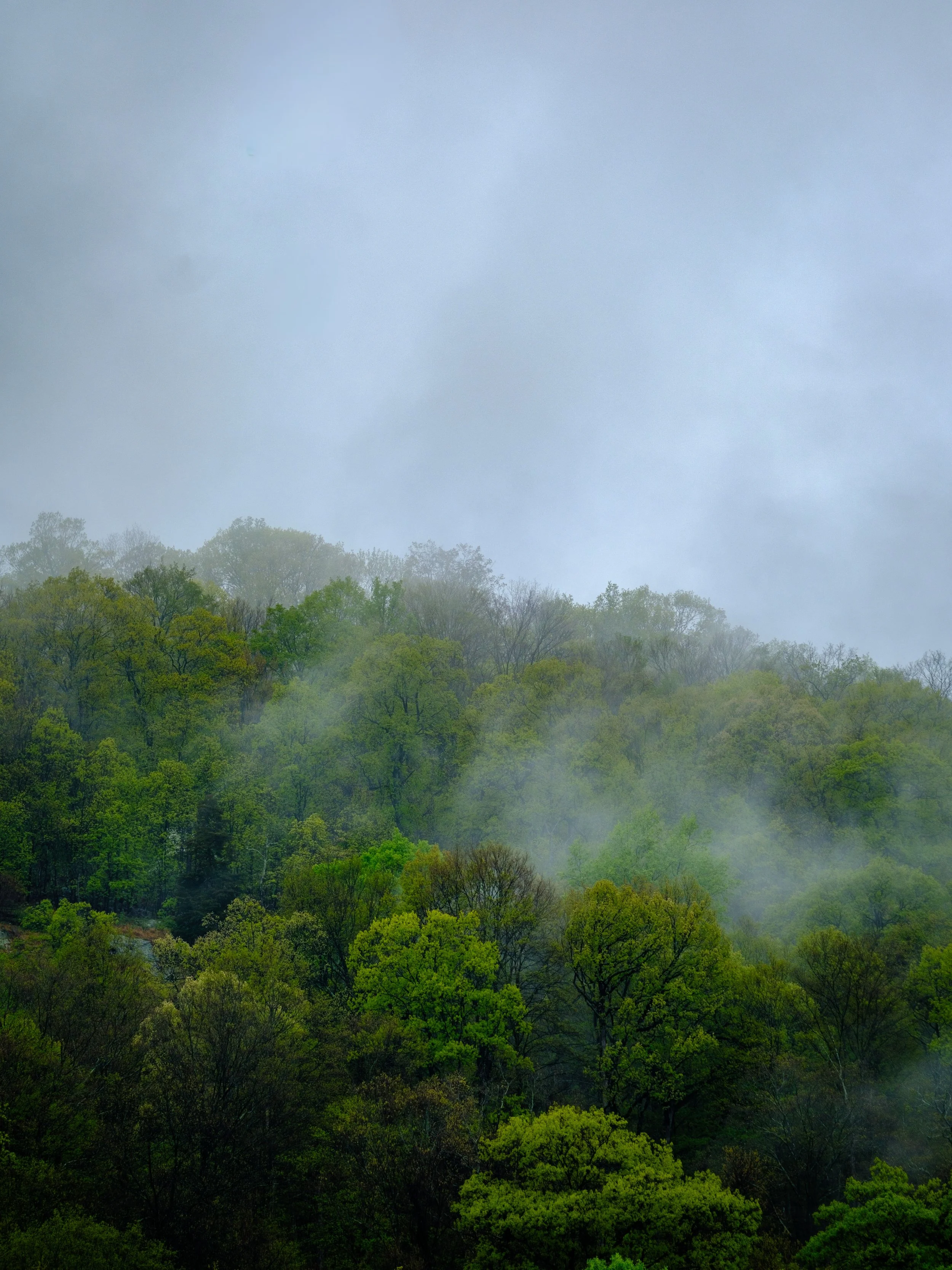 DSCF5308-2.jpg
