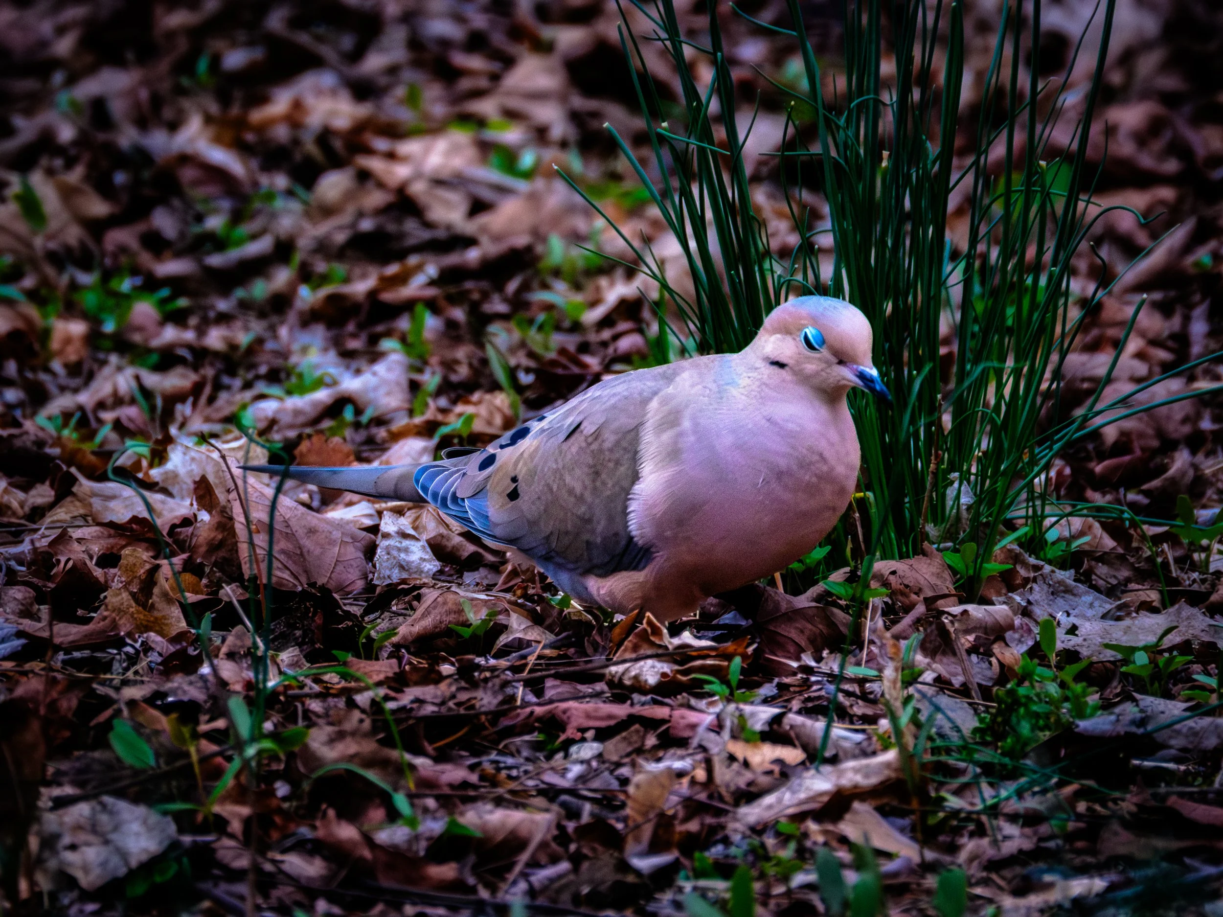 DSCF3562.jpg