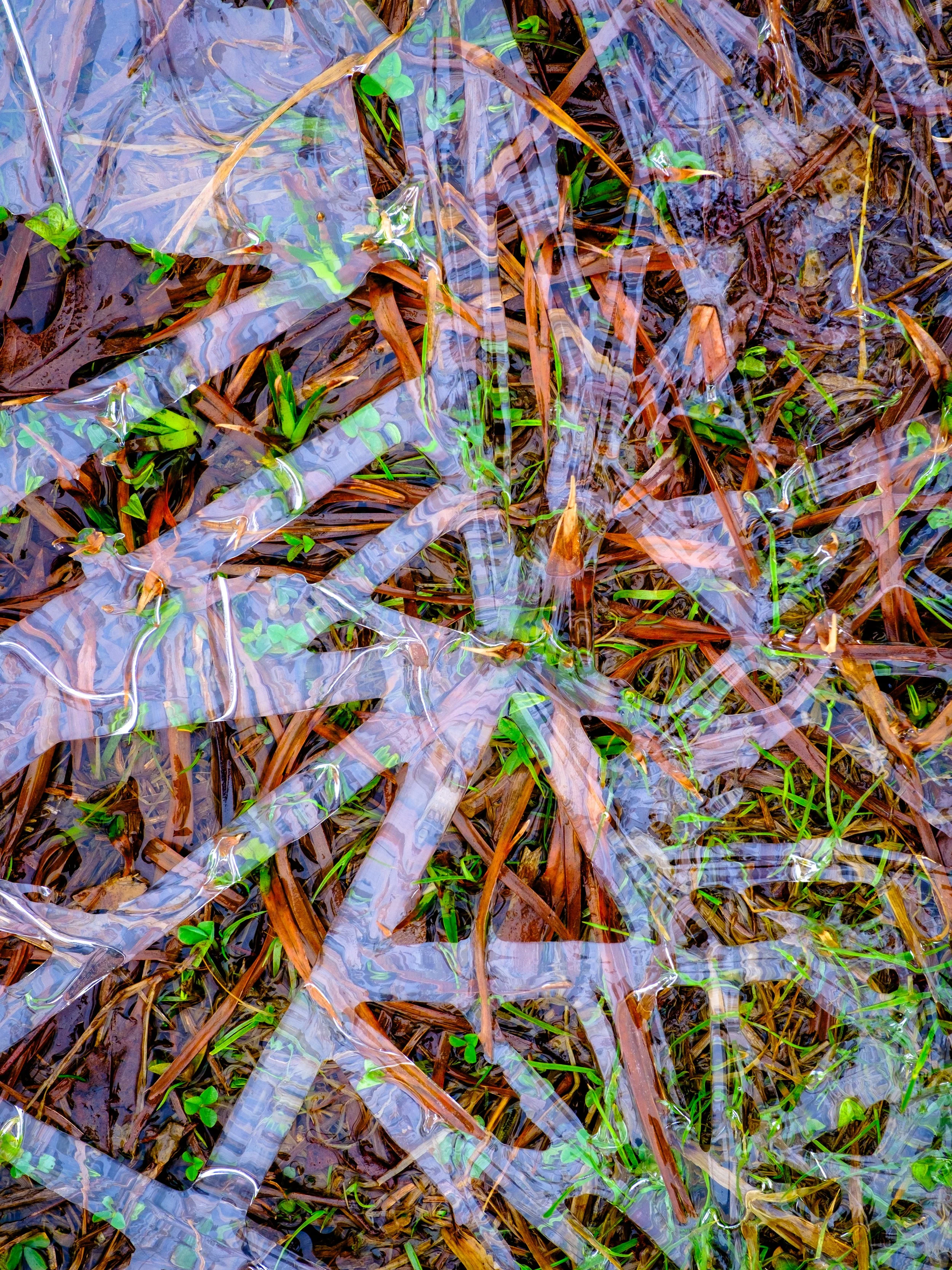 DSCF1370-2.jpg