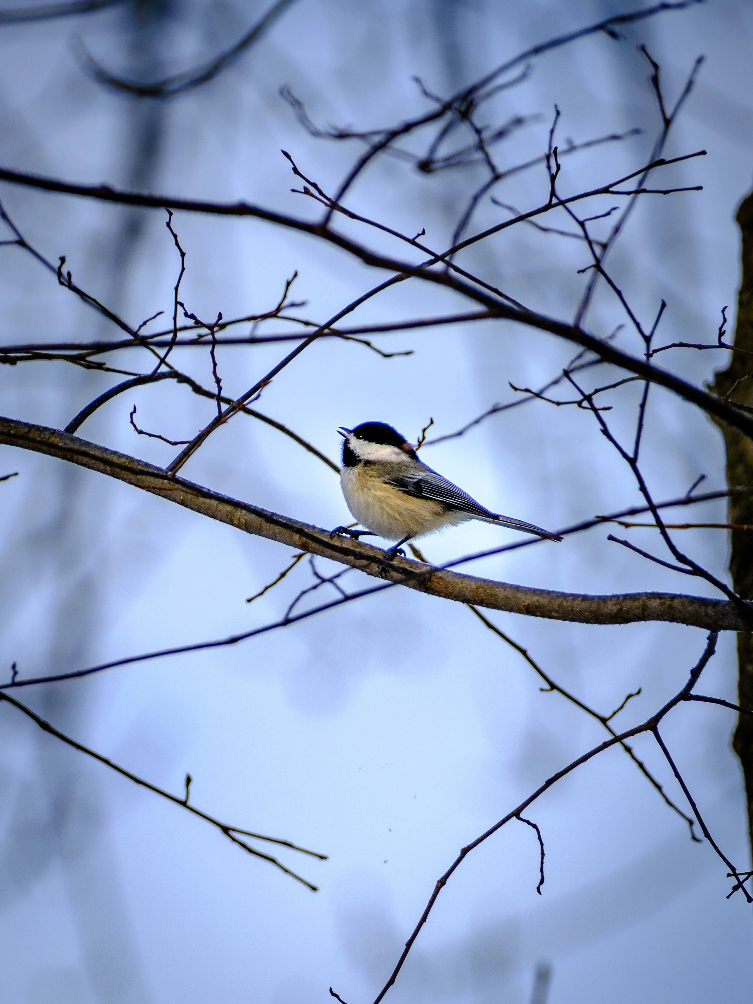 DSCF4791.jpg