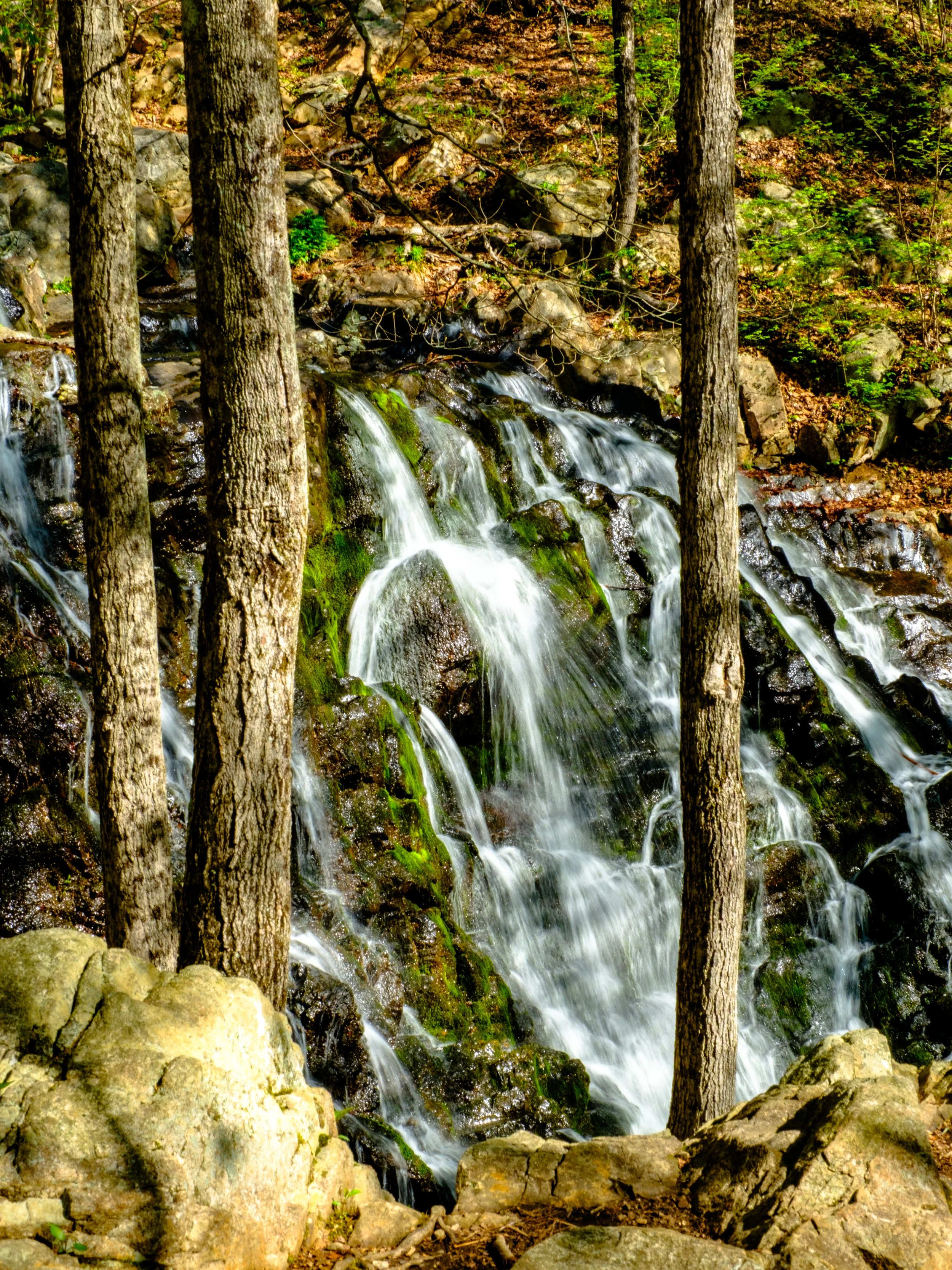 DSCF5268-2.jpg