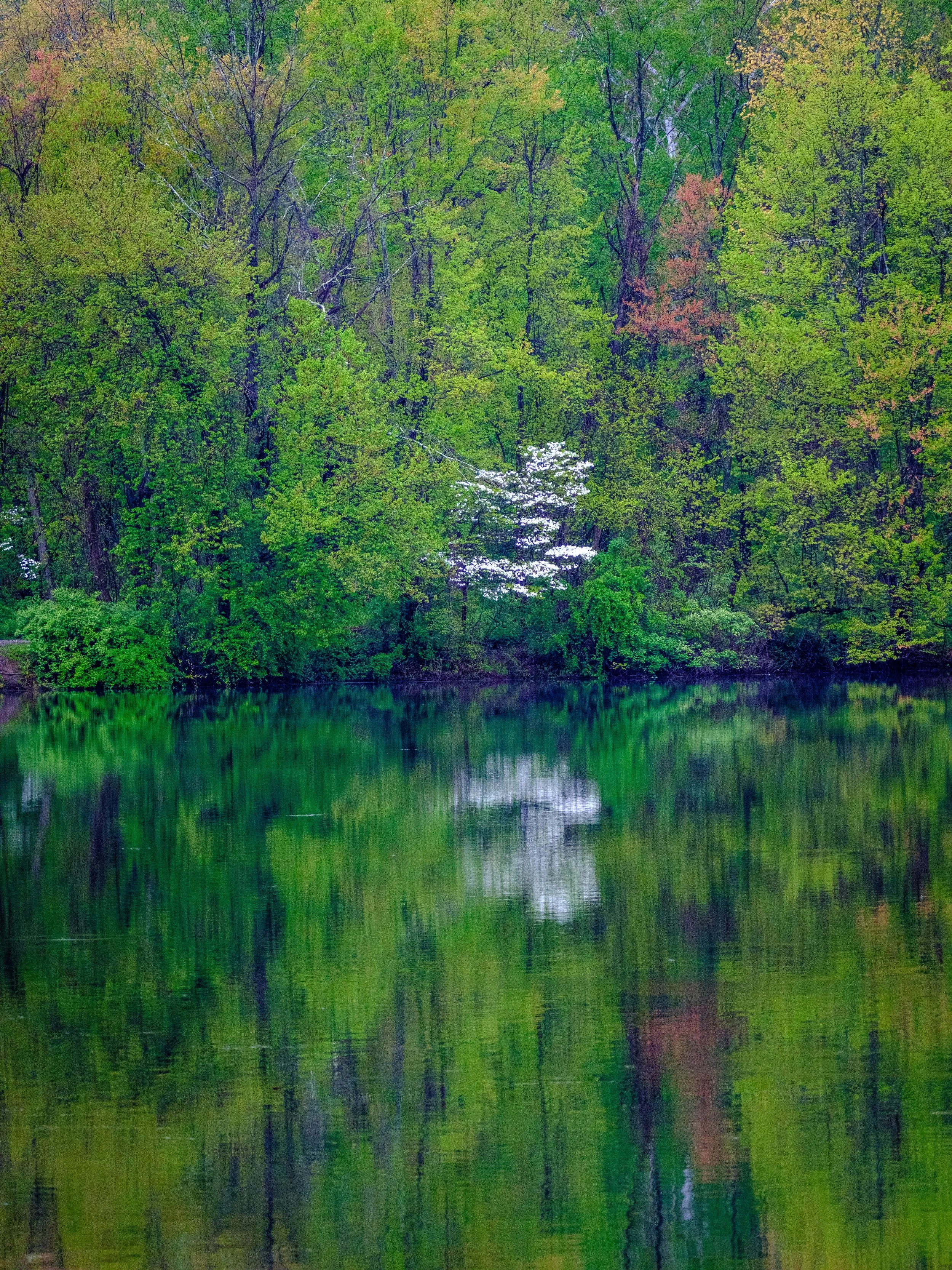 DSCF5318-2.jpg