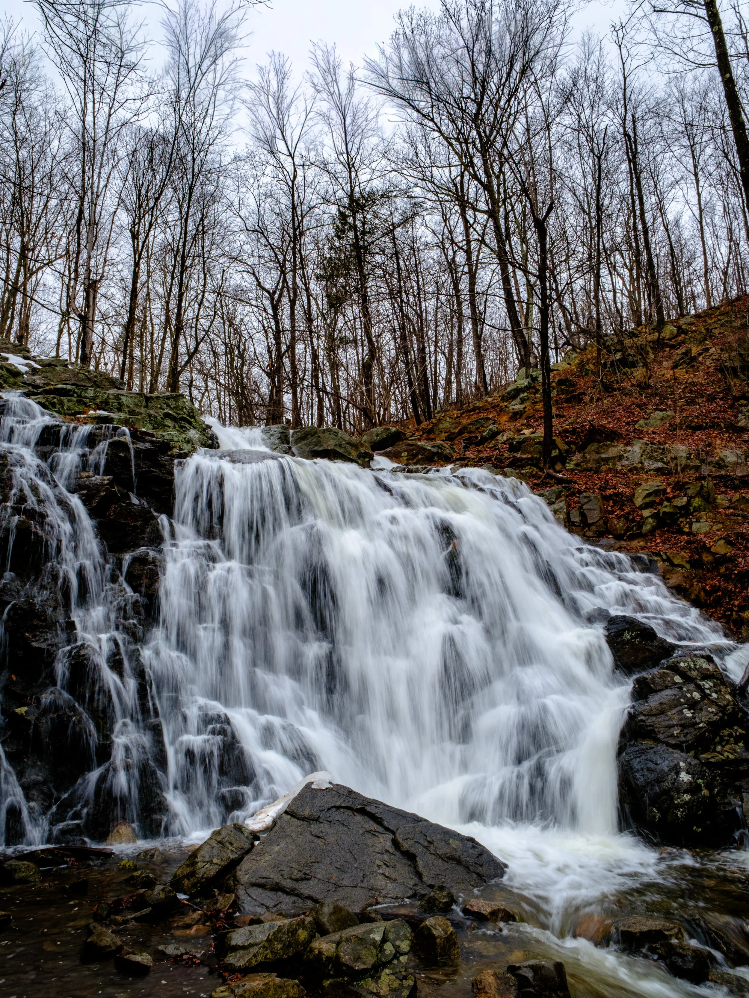 DSCF0187-2.jpg