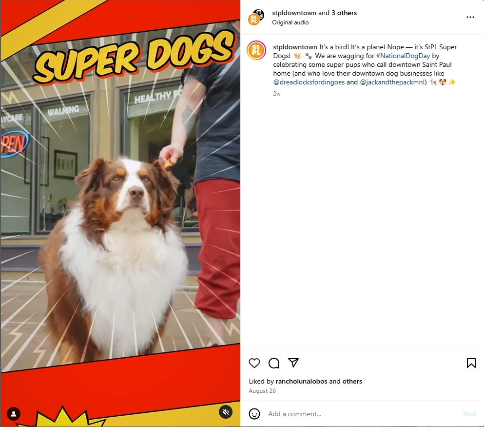 st paul downtown media feature for dreadlocks for dingoes st. paul