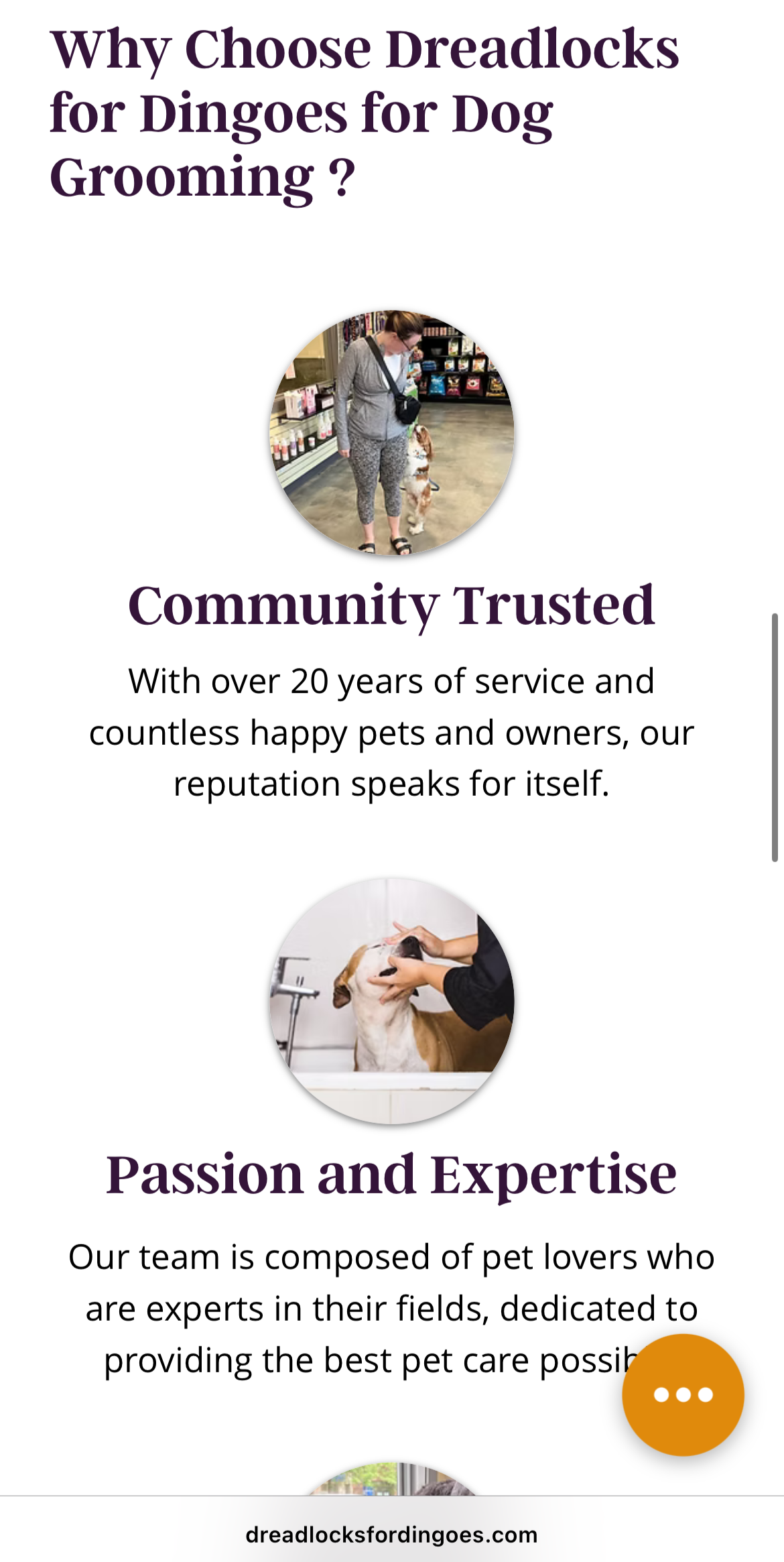 dreadlocks for dingoes proof of work-mobile site version