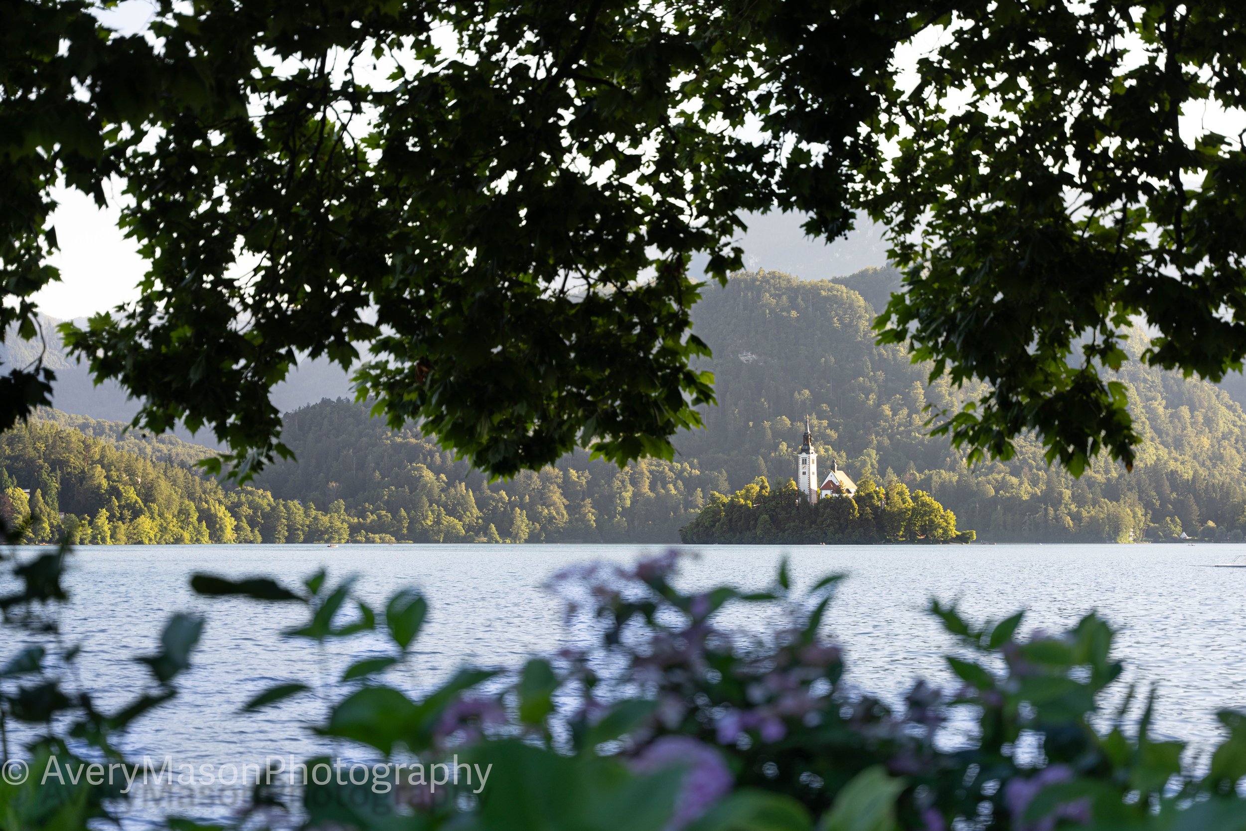 20240705-_DSC6768.jpg
