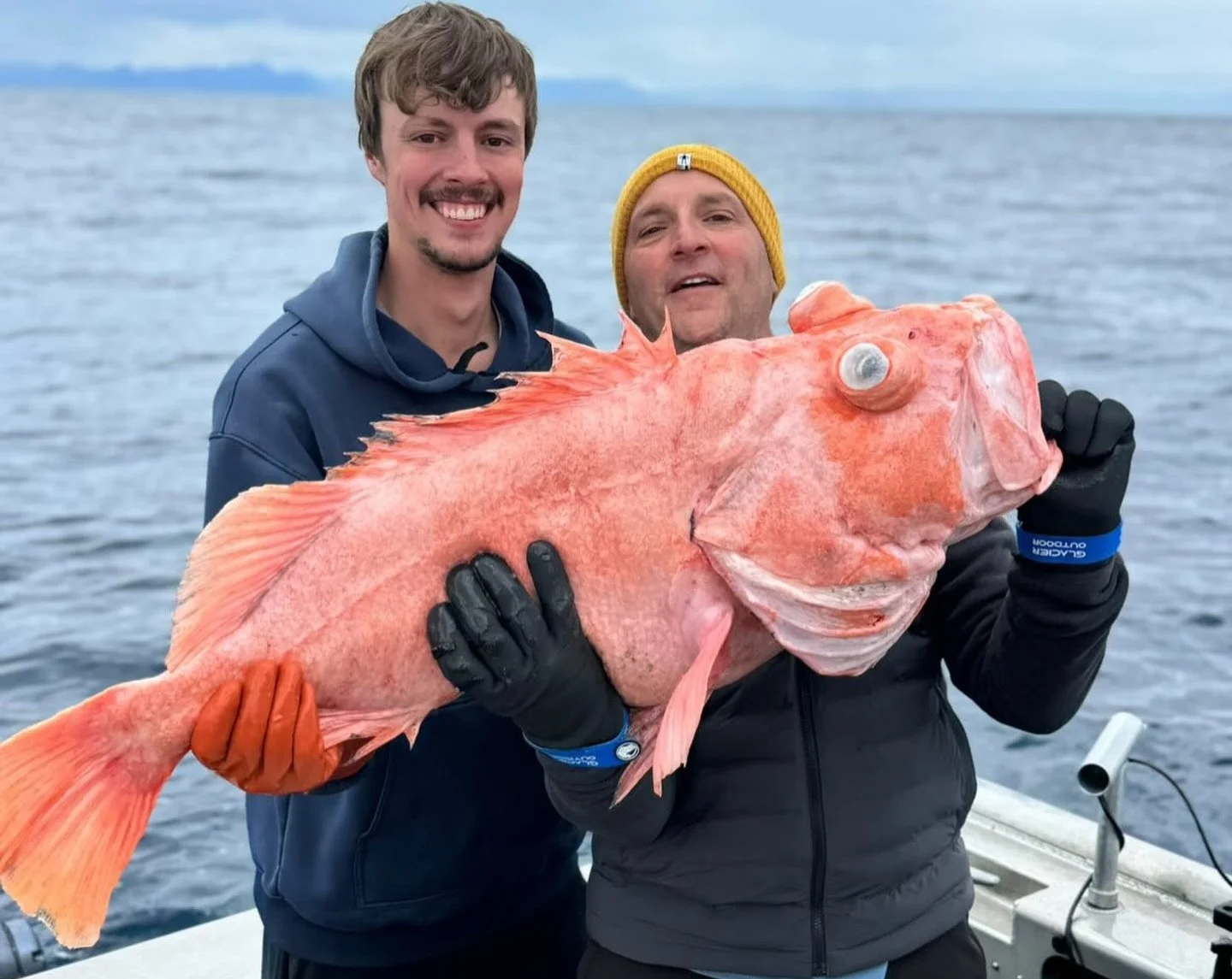 Rockfish (Non-Pelagic & Slope Species)