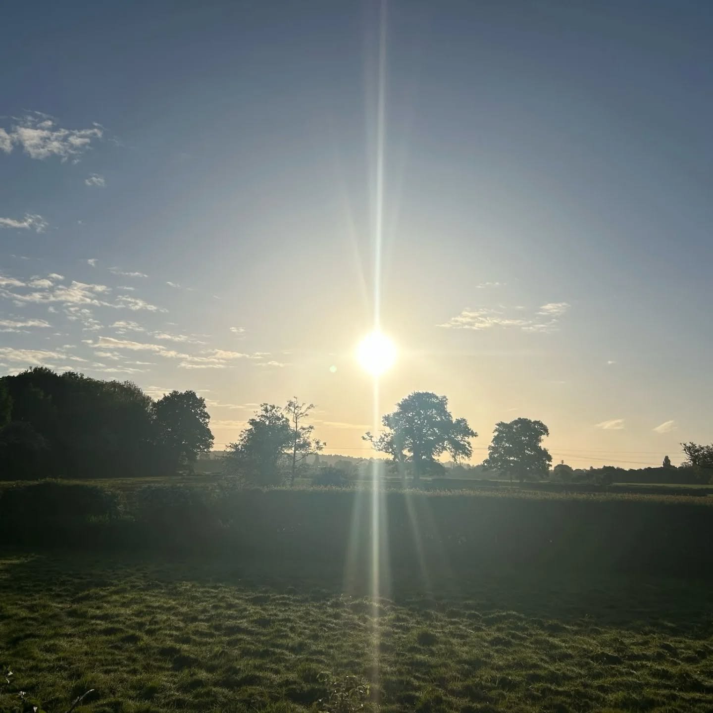Early Sunday walks in nature offer quiet magic—crisp air, golden light, and birdsong guiding each step. As the world slowly wakes, peace settles in, clearing the mind and renewing the spirit. It's a gentle reminder that stillness holds the powe