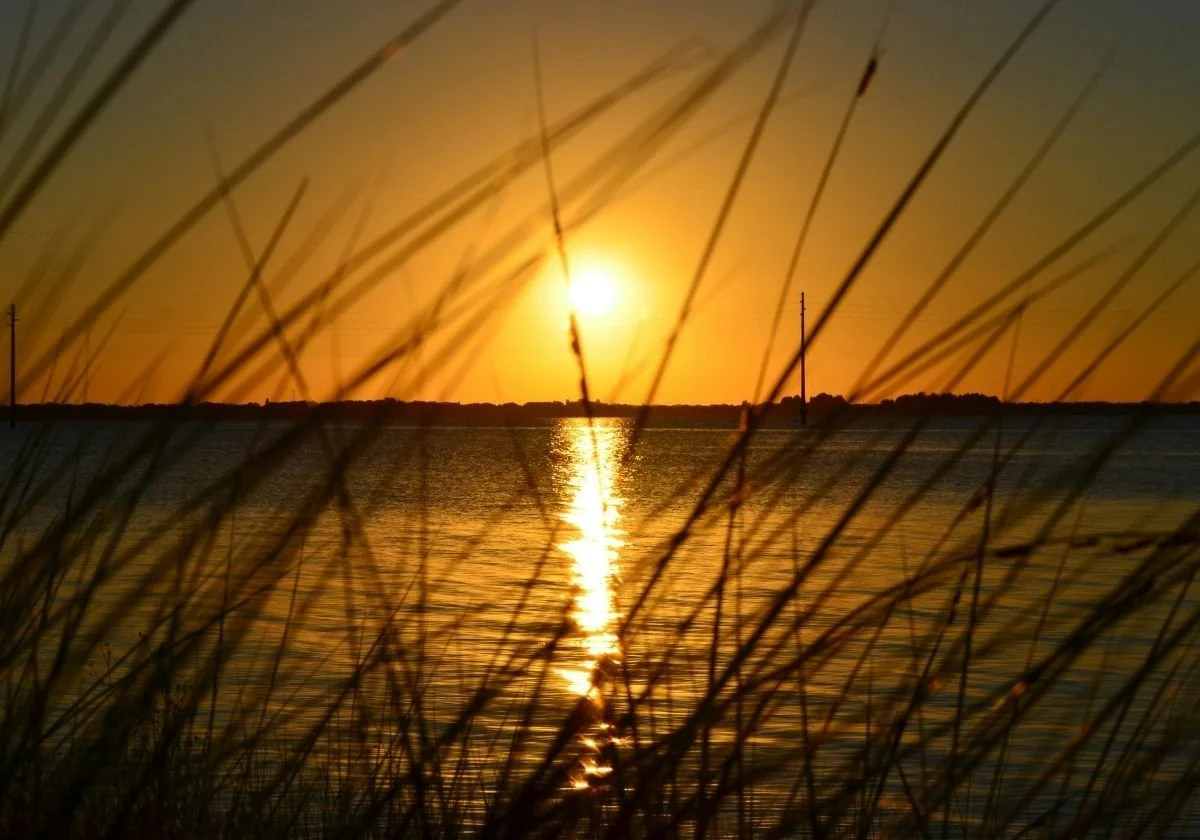 Sarasota Therapy