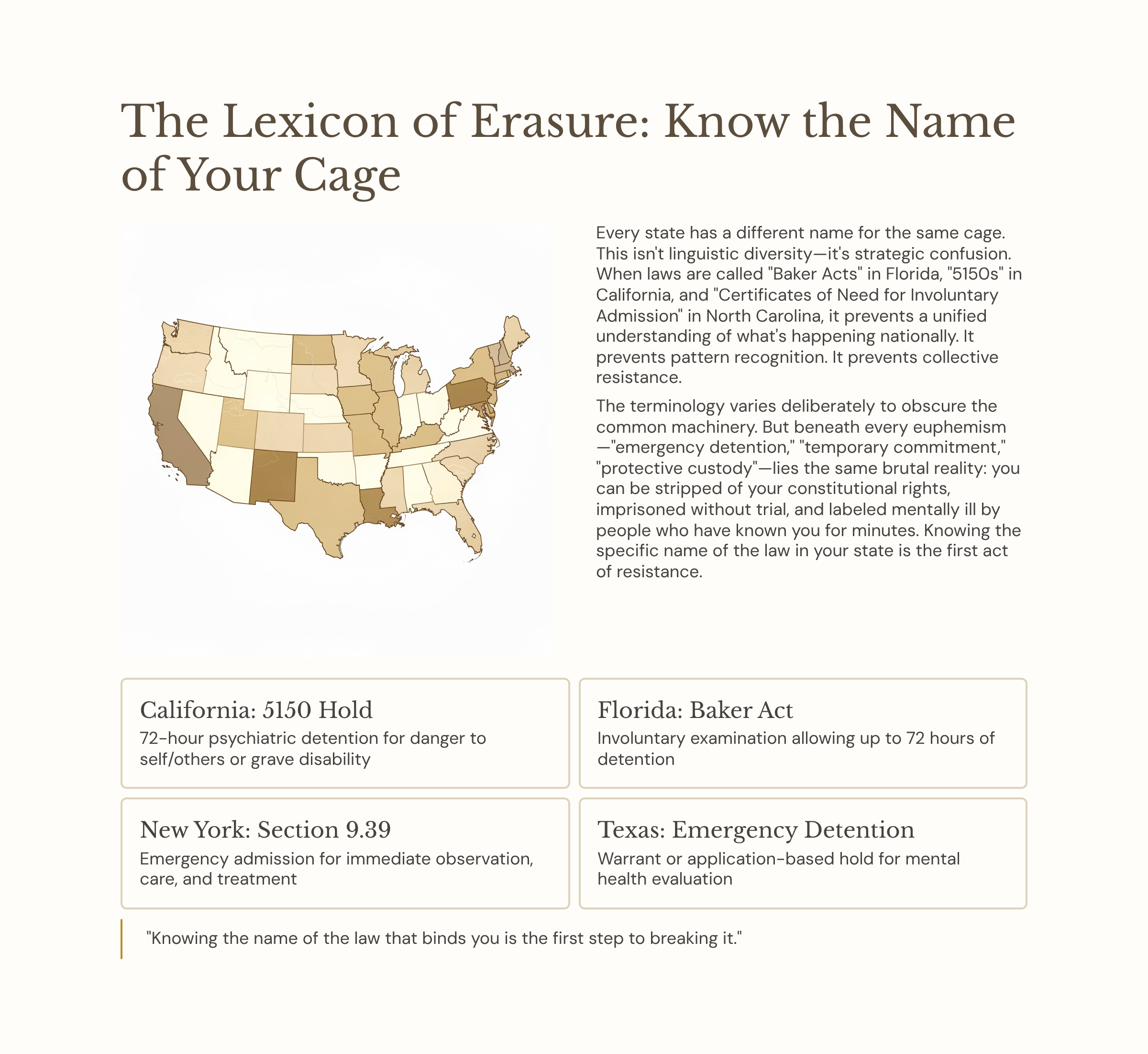 7_The-Lexicon-of-Erasure-Know-the-Name-of-Your-Cage.png