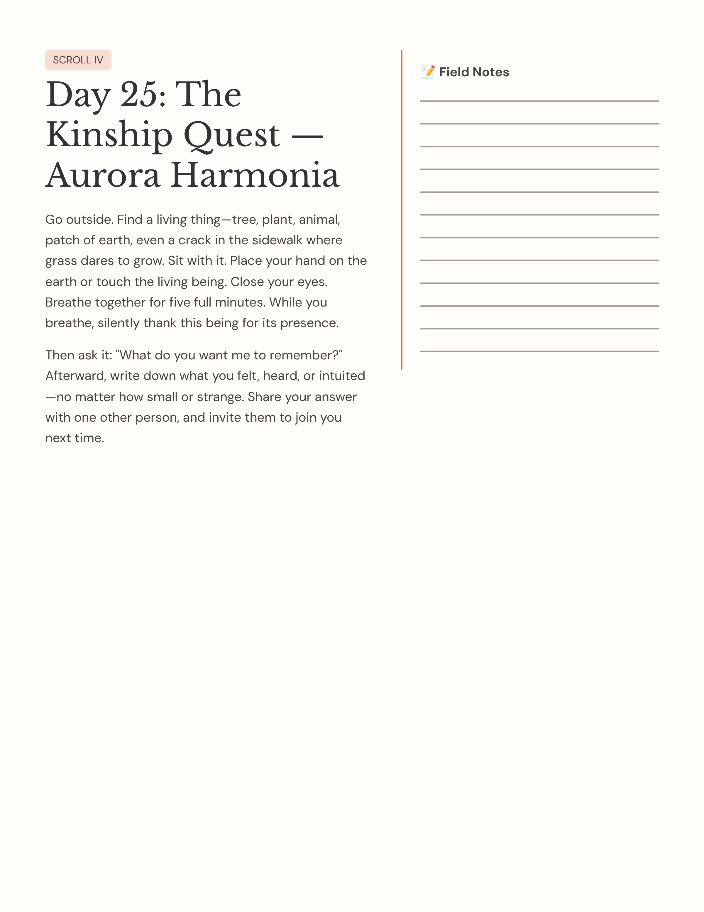 23_Day-25-The-Kinship-Quest-Aurora-Harmonia.png