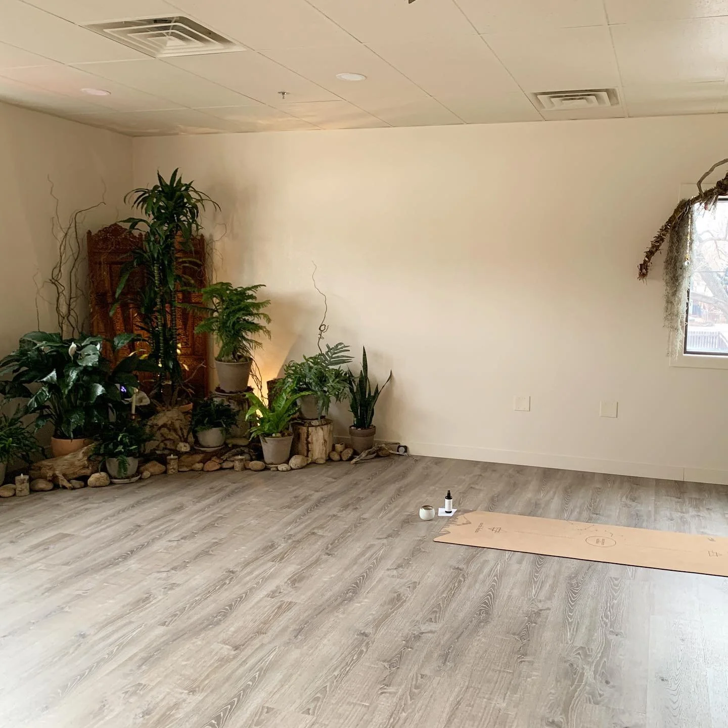 Resilient: capable of withstanding shock without permanent deformation or rupture.

You&rsquo;ve been through so much but you&rsquo;re not broken. Your body wants to move. Your body wants to heal. Come connect to your true nature and join me Wednesda