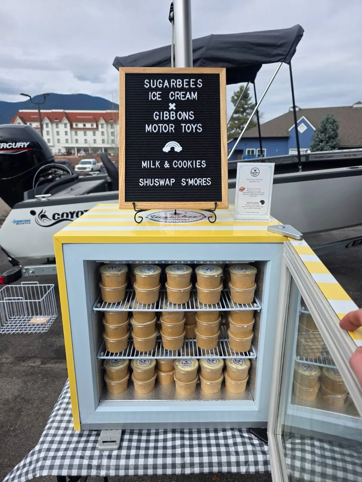 Small refrigerator filled with containers of ice cream on display at an outdoor market. A sign on top mentions ice cream, milk and cookies, and s'mores, along with other treats.