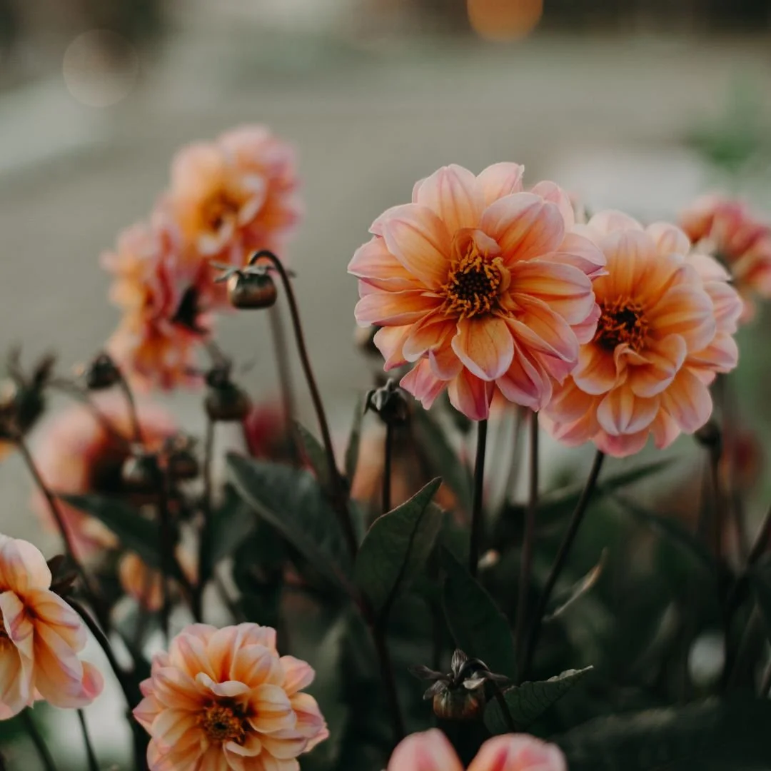 Boundaries for Moms: Why You Struggle to Set Them and How to Start
