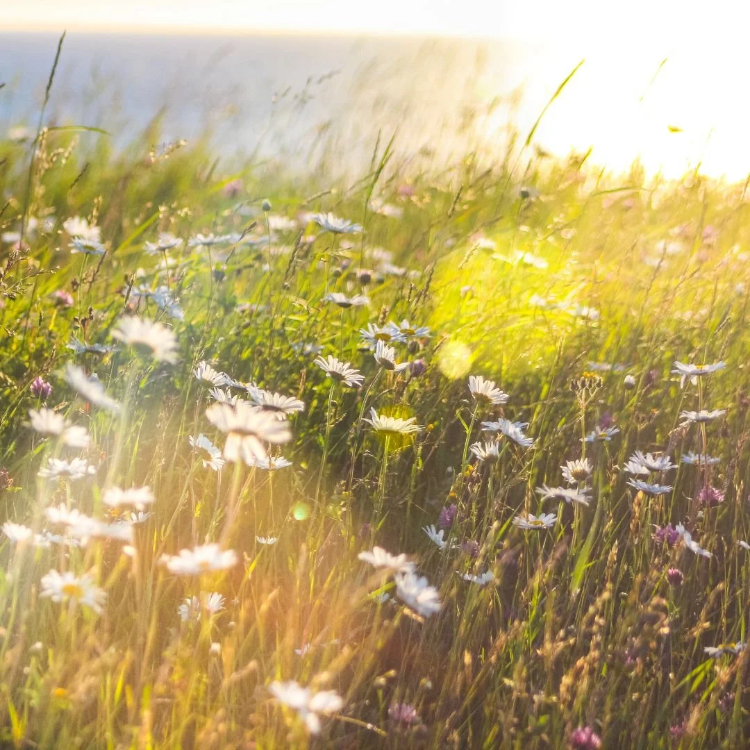 Breathing Exercises for Moms: Calm Anxiety With Your Breath