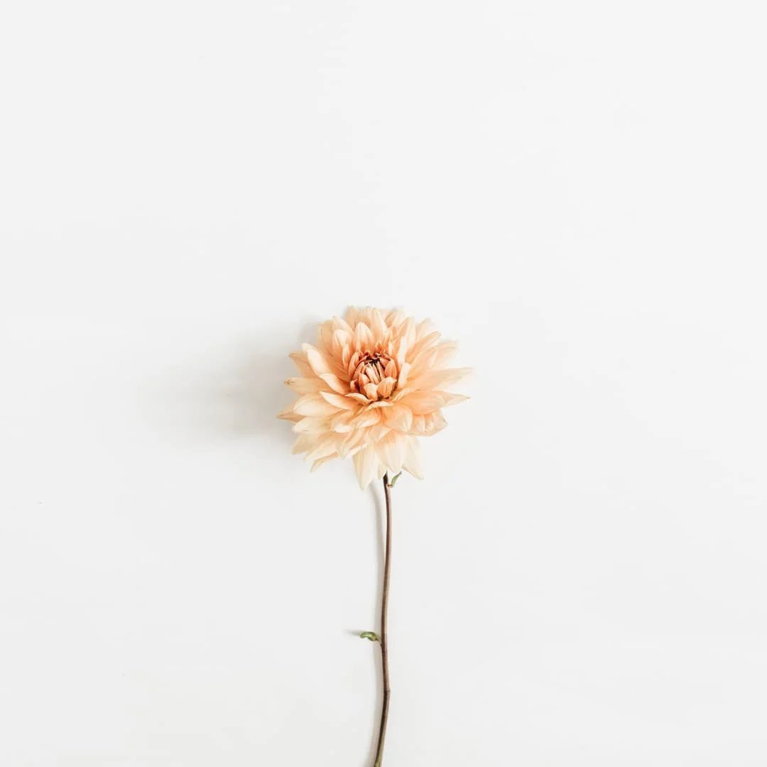 Hormonal Shifts and Mood Changes in Postpartum: What’s Really Going On