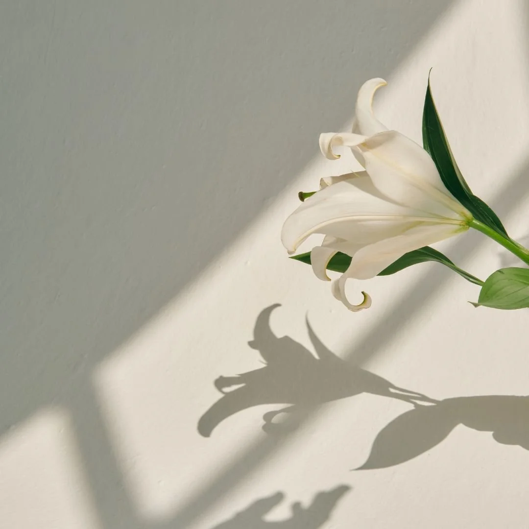 Anxiety vs. OCD in Motherhood: What’s the Difference and Why It Matters