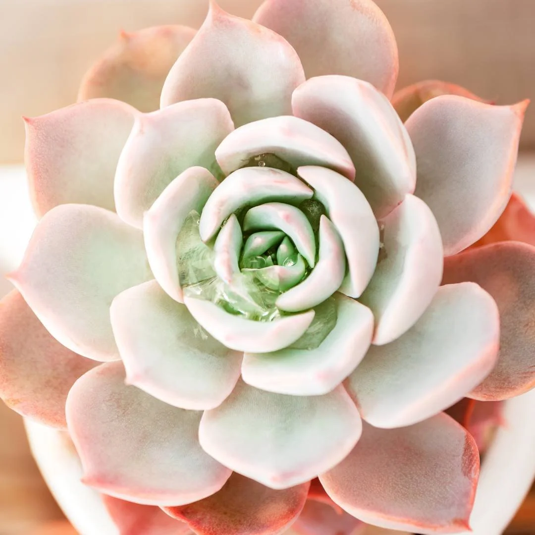 Birth Trauma Q&amp;A: Healing After a Difficult Birth