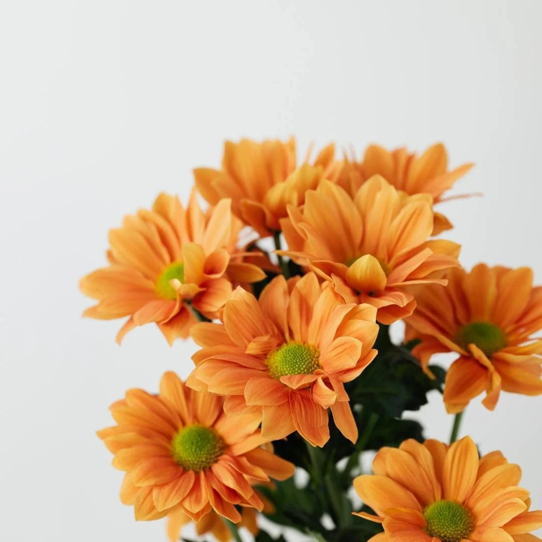 Q&amp;A On the Mental Load: On Resentment, Communication, and Doing “Everything”