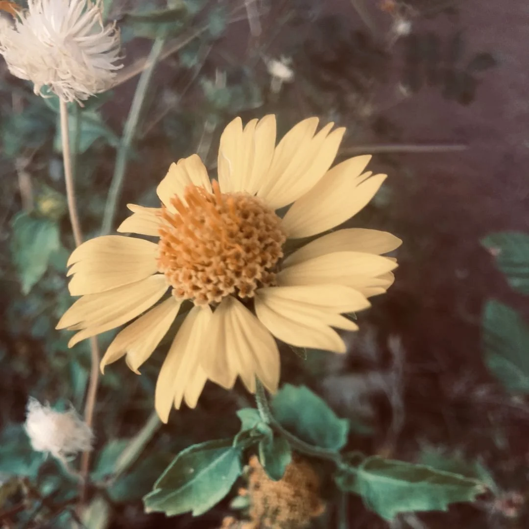 How to Know If Therapy Is Right for You in Early Motherhood