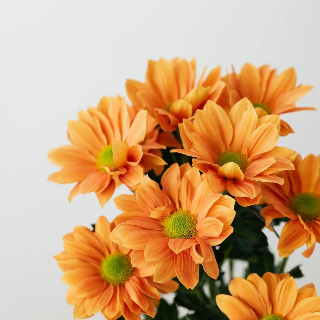 The Real Reason You Feel Like Something Bad Is About to Happen