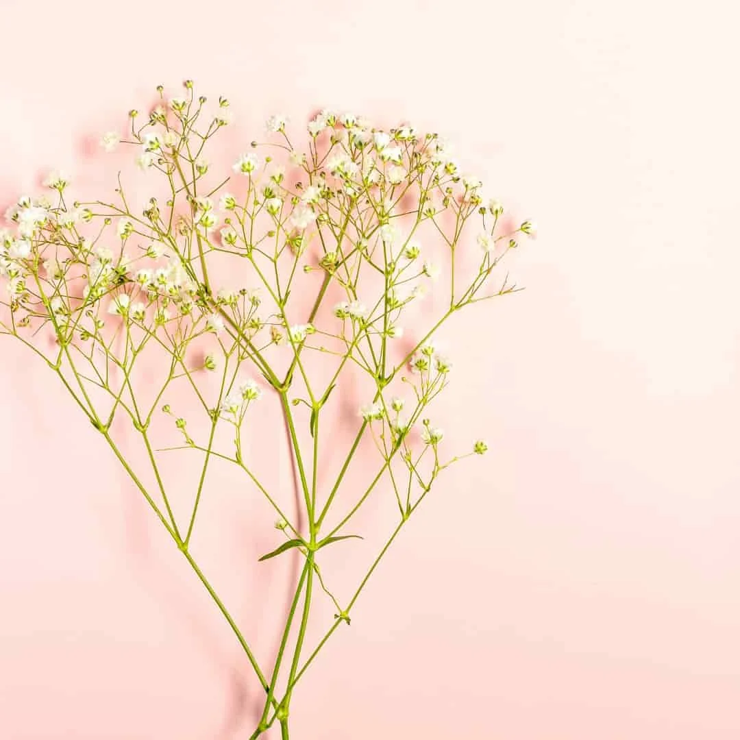 Feel Like You’re Failing at Motherhood? Let’s Talk About Unrealistic Expectations of Motherhood