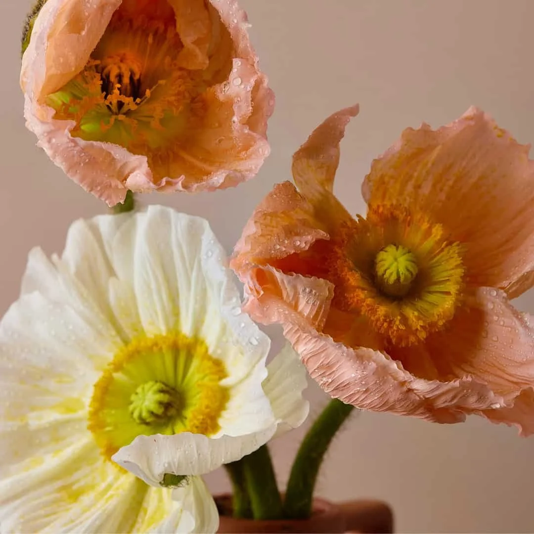 Why Motherhood Feels So Overwhelming (And Why It’s Not Your Fault)