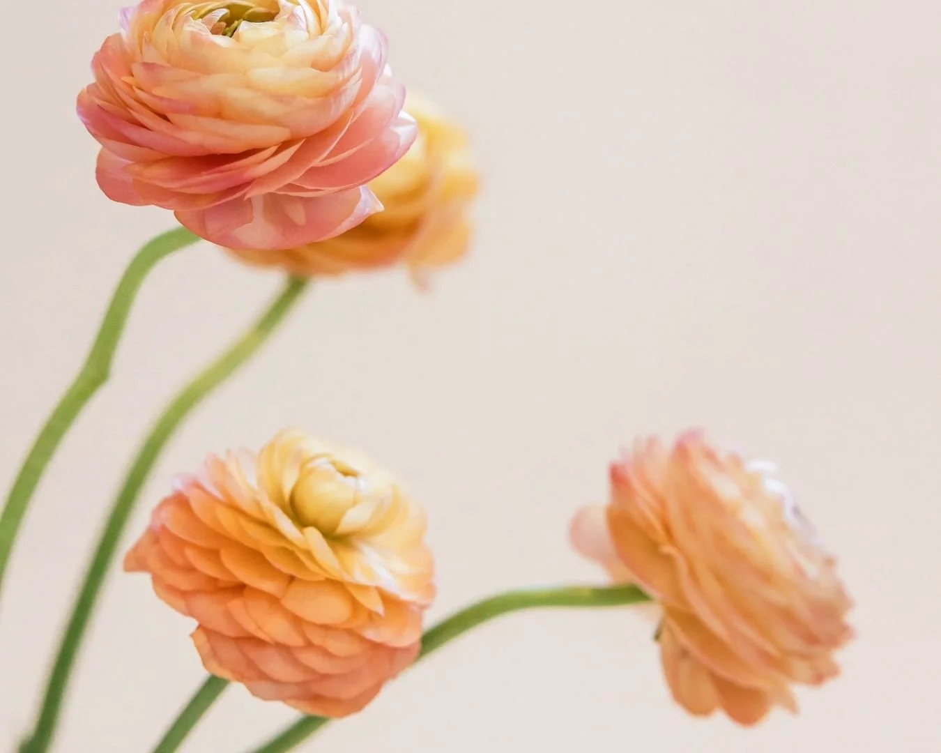 Mom Rage Isn’t a Personality Problem- It’s a Nervous System One